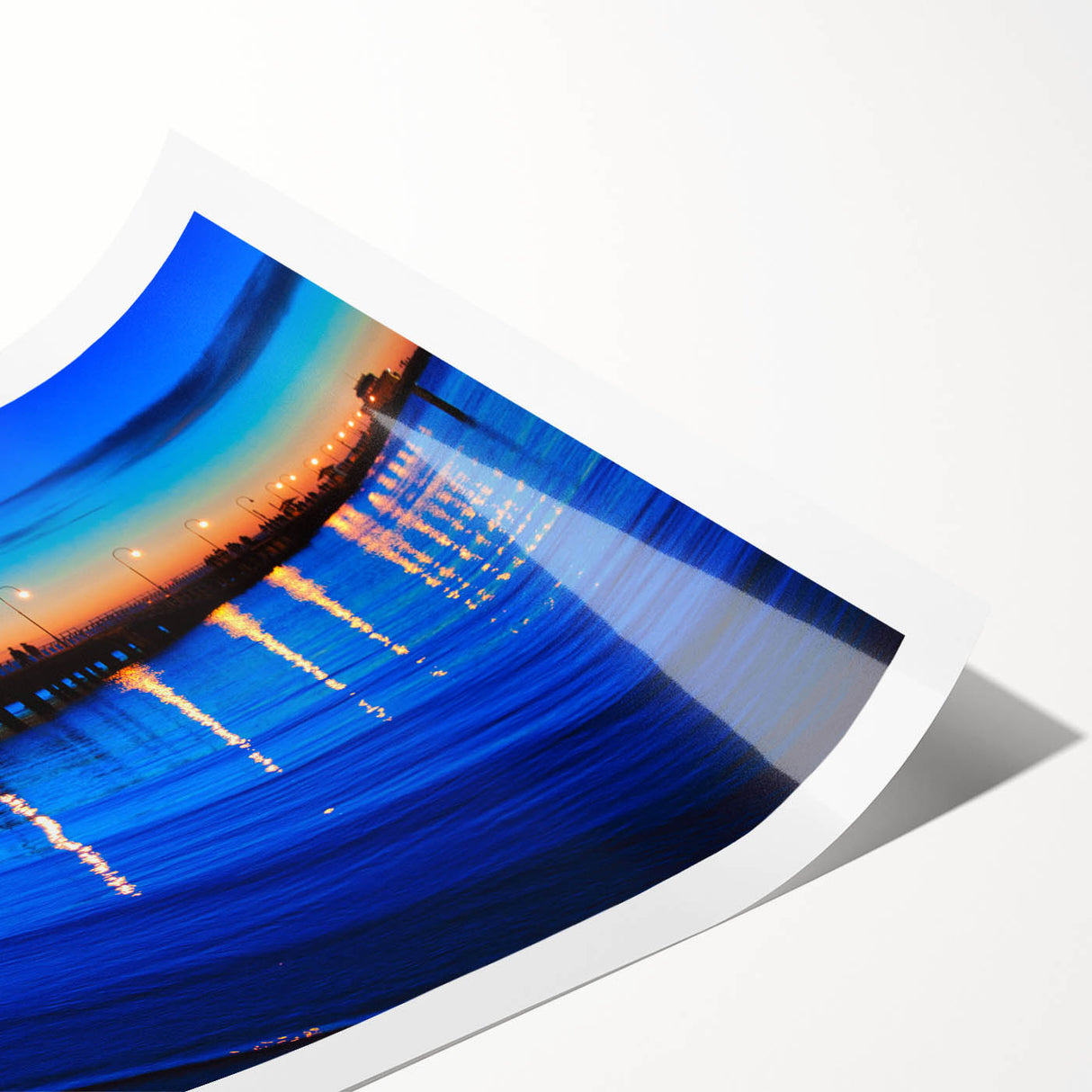 Extra large wall art featuring line art flowers in black on a white background, rolled print.