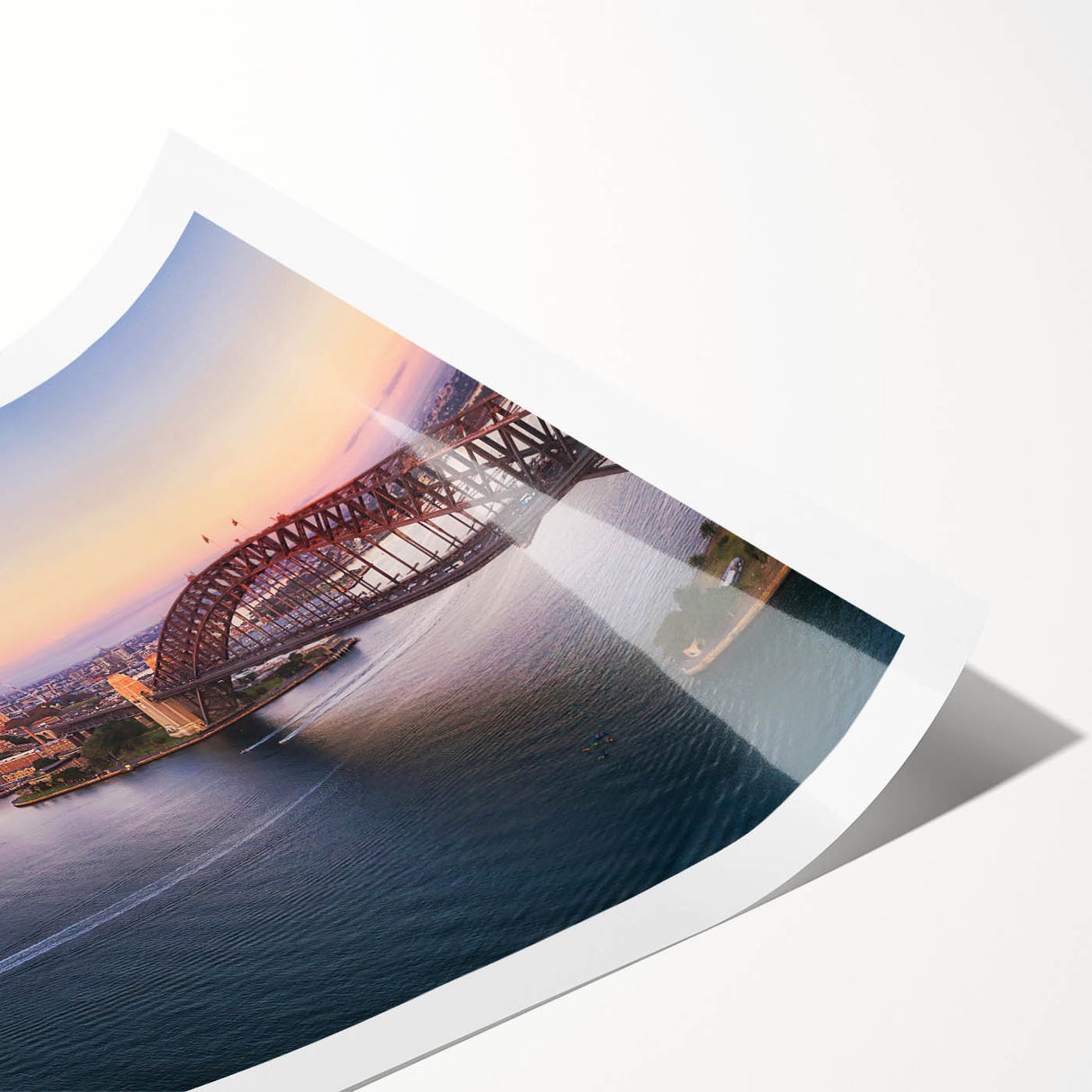 Extra large wall art featuring line art flowers in monochrome, ideal for large living room decor, rolled print format.