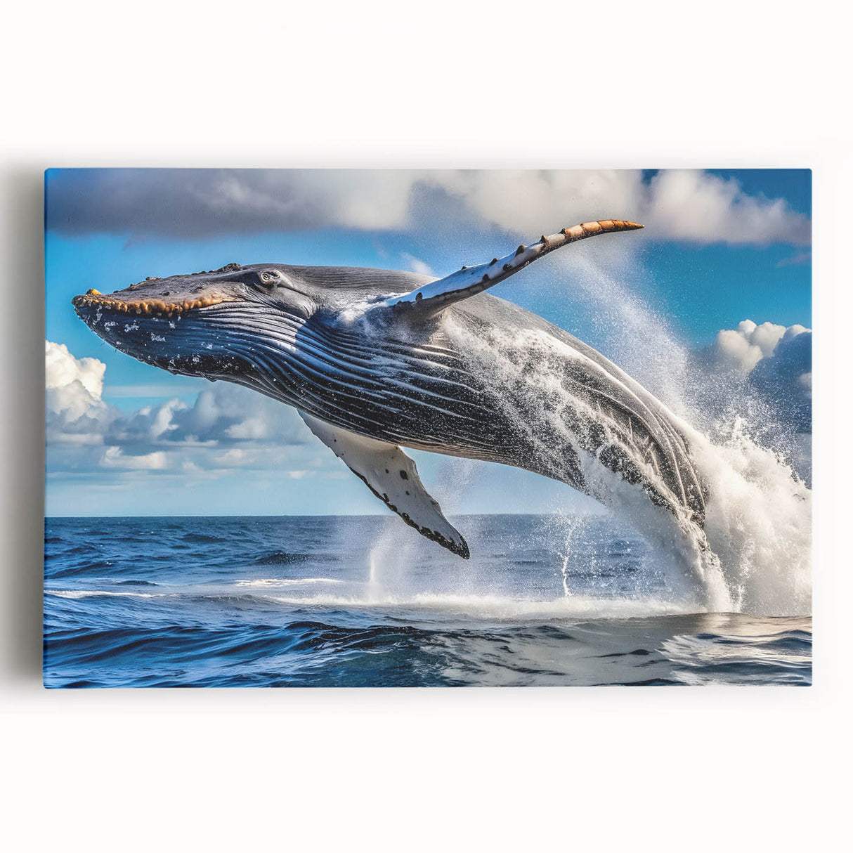 Black and white stretched canvas of New Brunswick scenery, ideal for kitchen wall art.