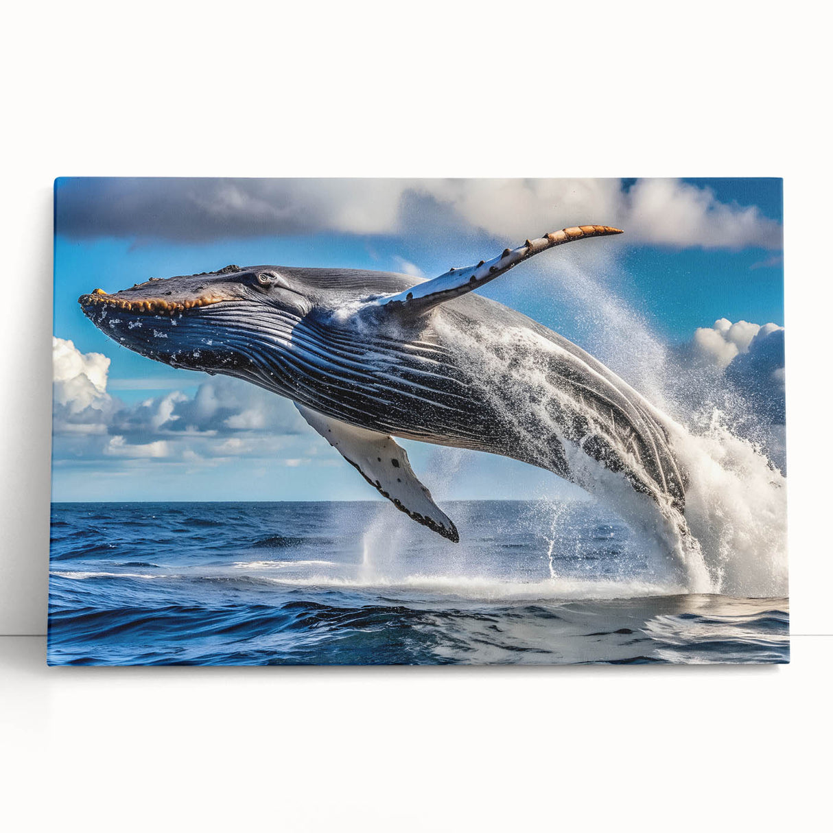 Black and white panoramic photo of New Brunswick scenery on stretched canvas, ideal for kitchen wall art.