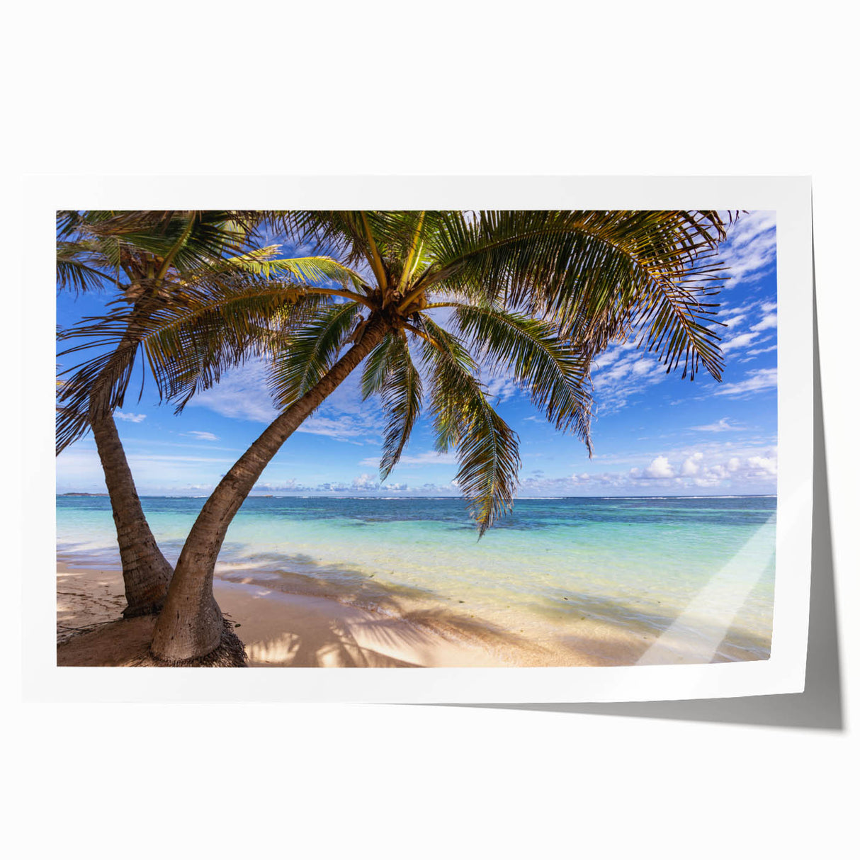 Extra large rolled print of Caribbean Martinique scenery with vibrant floral elements, ideal for art wall dining room.