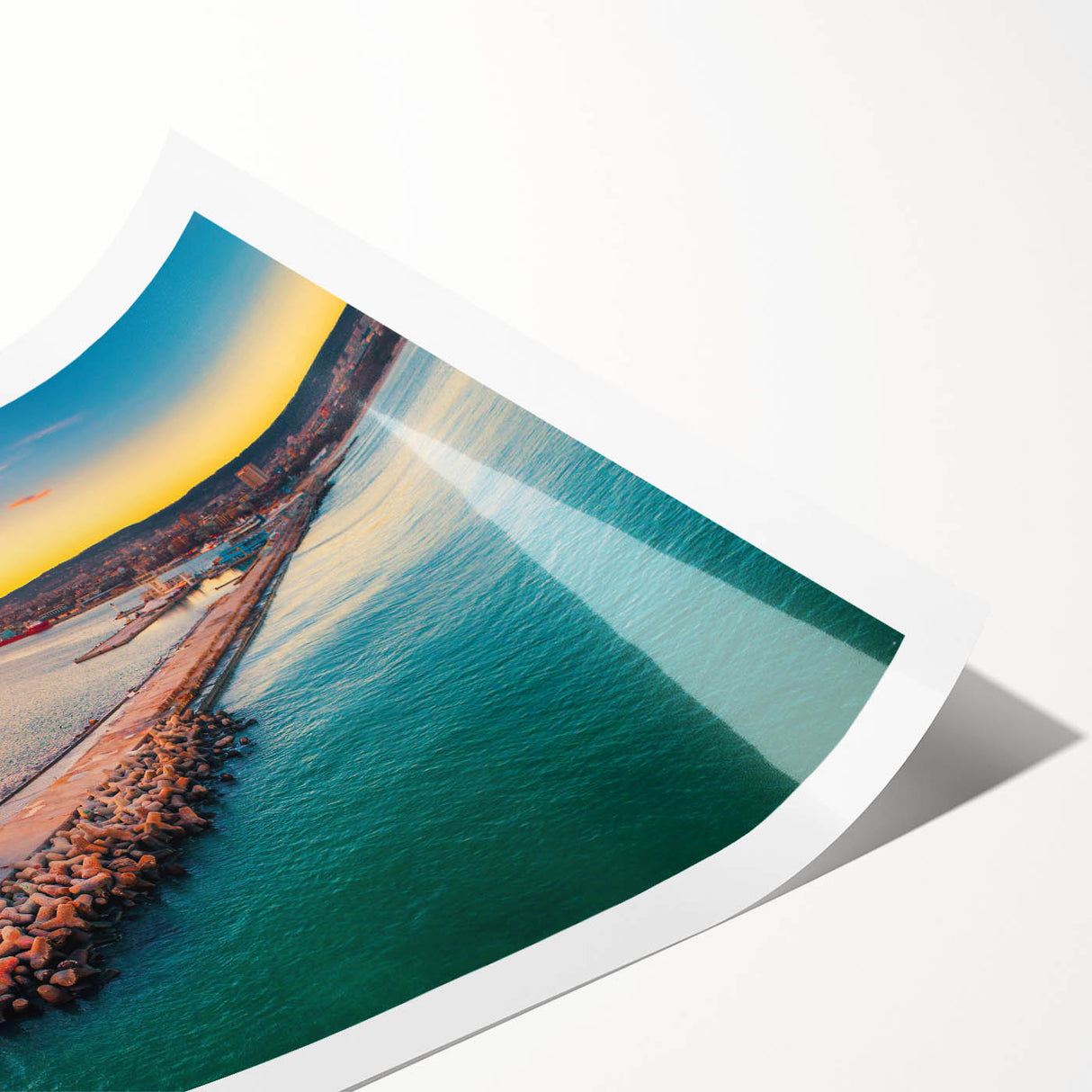 Extra large wall art featuring line art flowers in bold black on a white background, rolled print format.