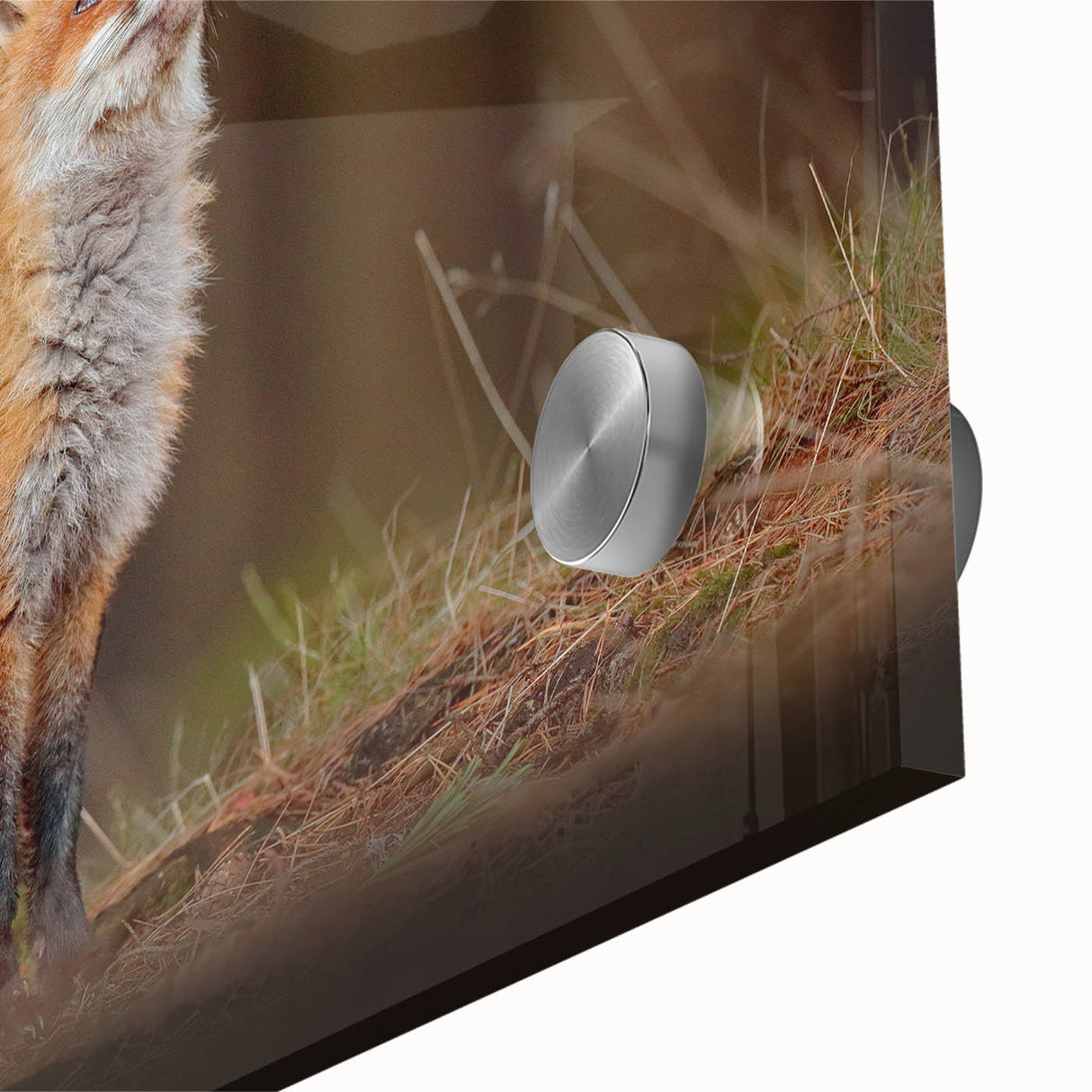 Large abstract wall art depicting a European scenery in muted earth tones on acrylic glass, ideal for dining room ambiance.