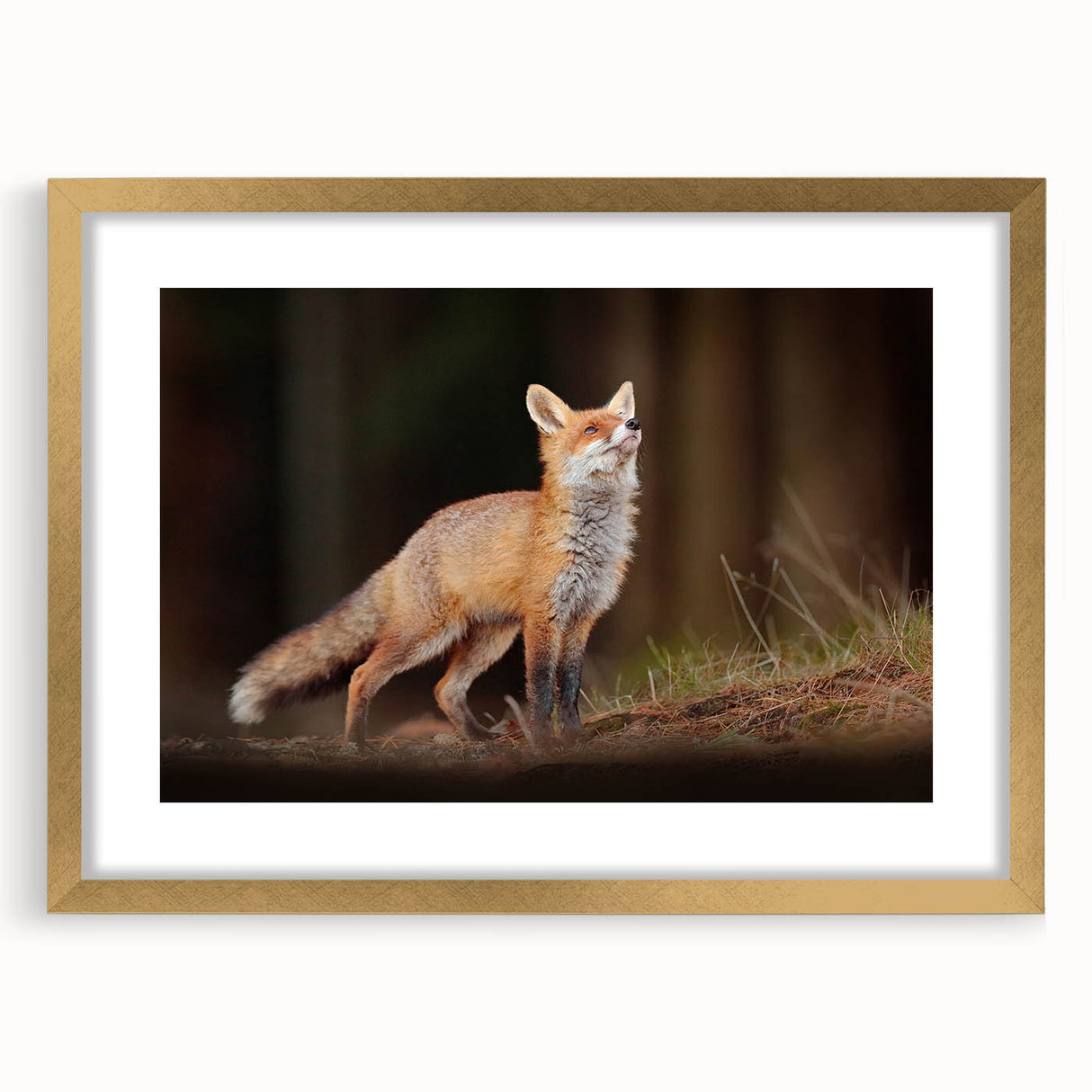 Extra large abstract art print of a European scenery in textured gold frame, ideal for living room decor.