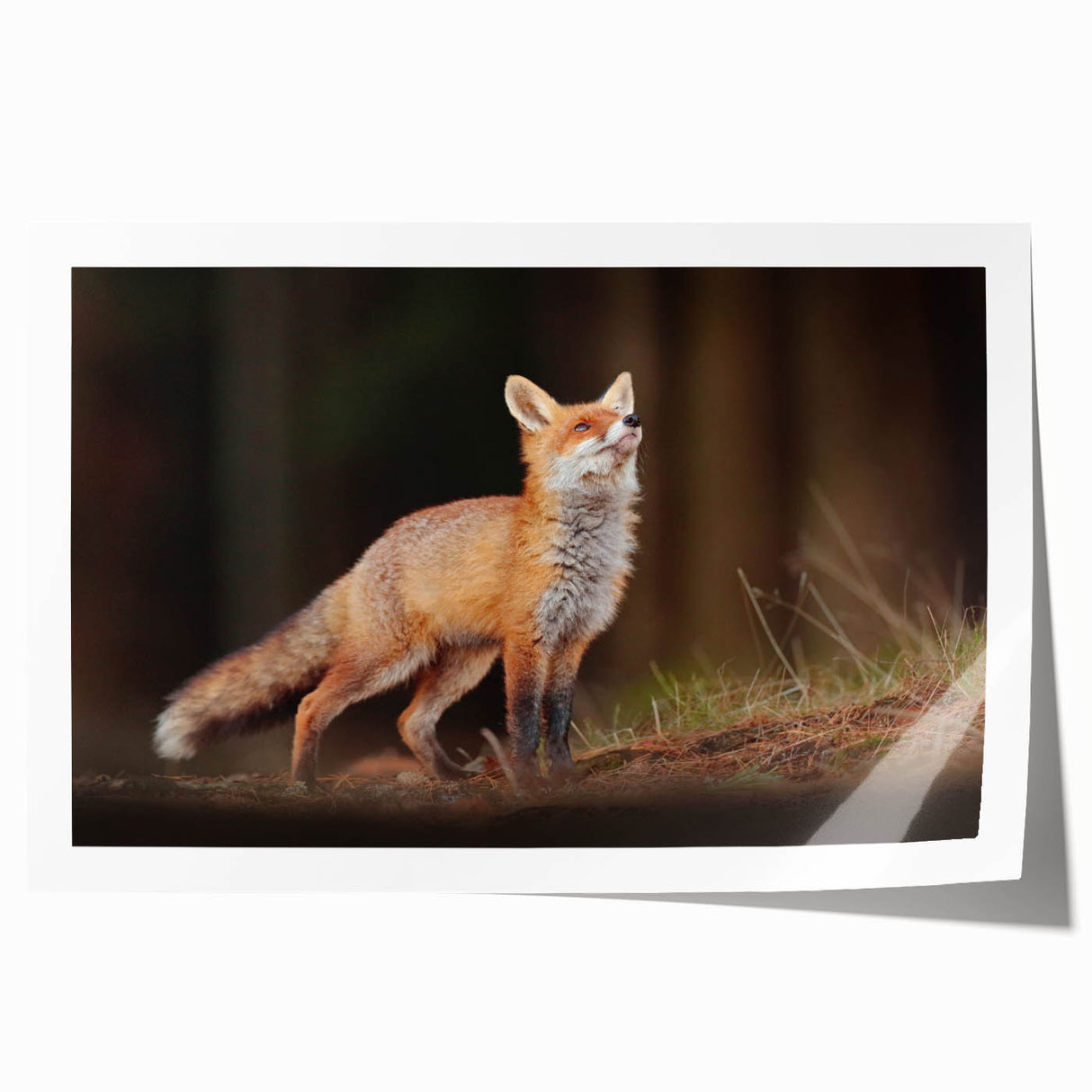 Extra large rolled print of a serene Swedish landscape, featuring muted greens and blues.