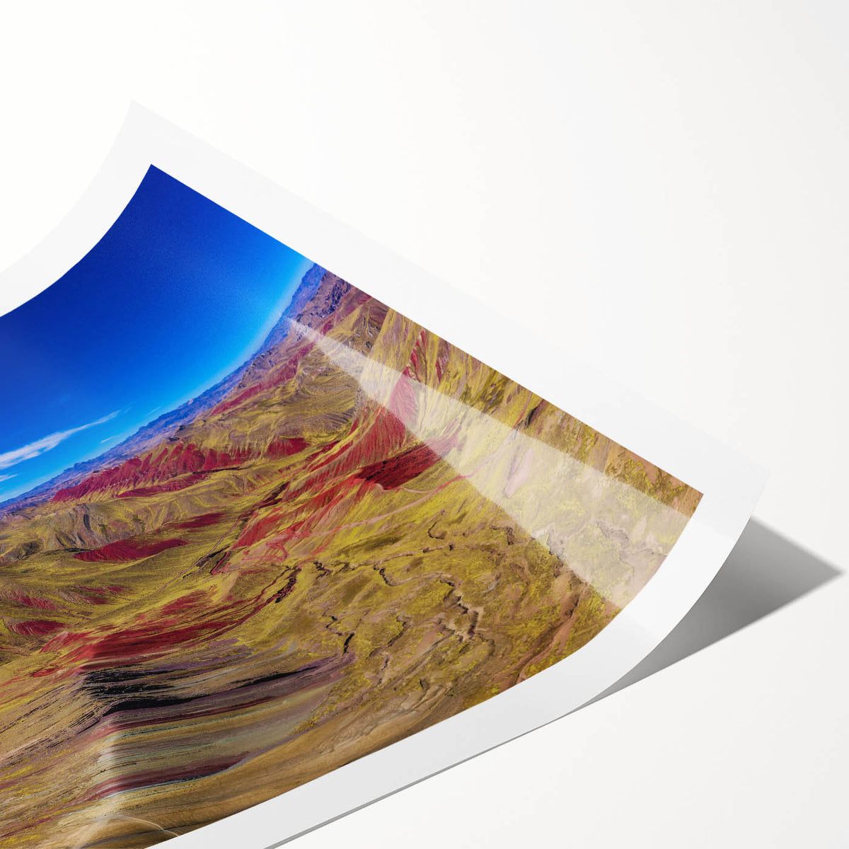 Extra large rolled print featuring line art flowers in a South American scenery, ideal for large living room wall art.