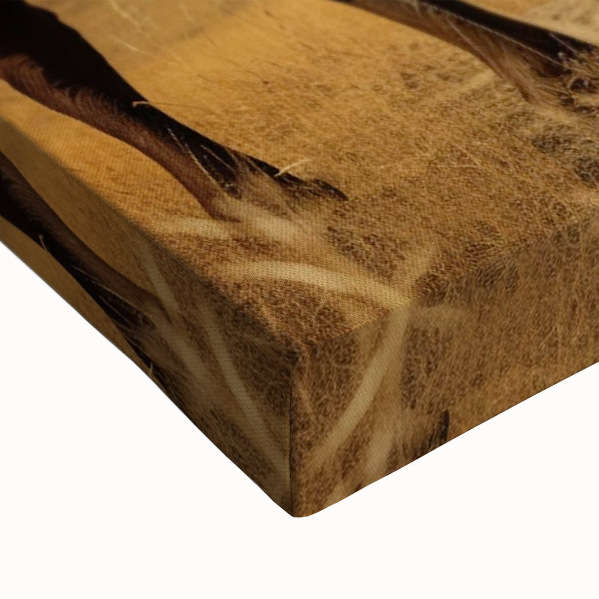 Large art of North Dakota landscape on stretched canvas in black and white, suitable for bedroom wall decor.