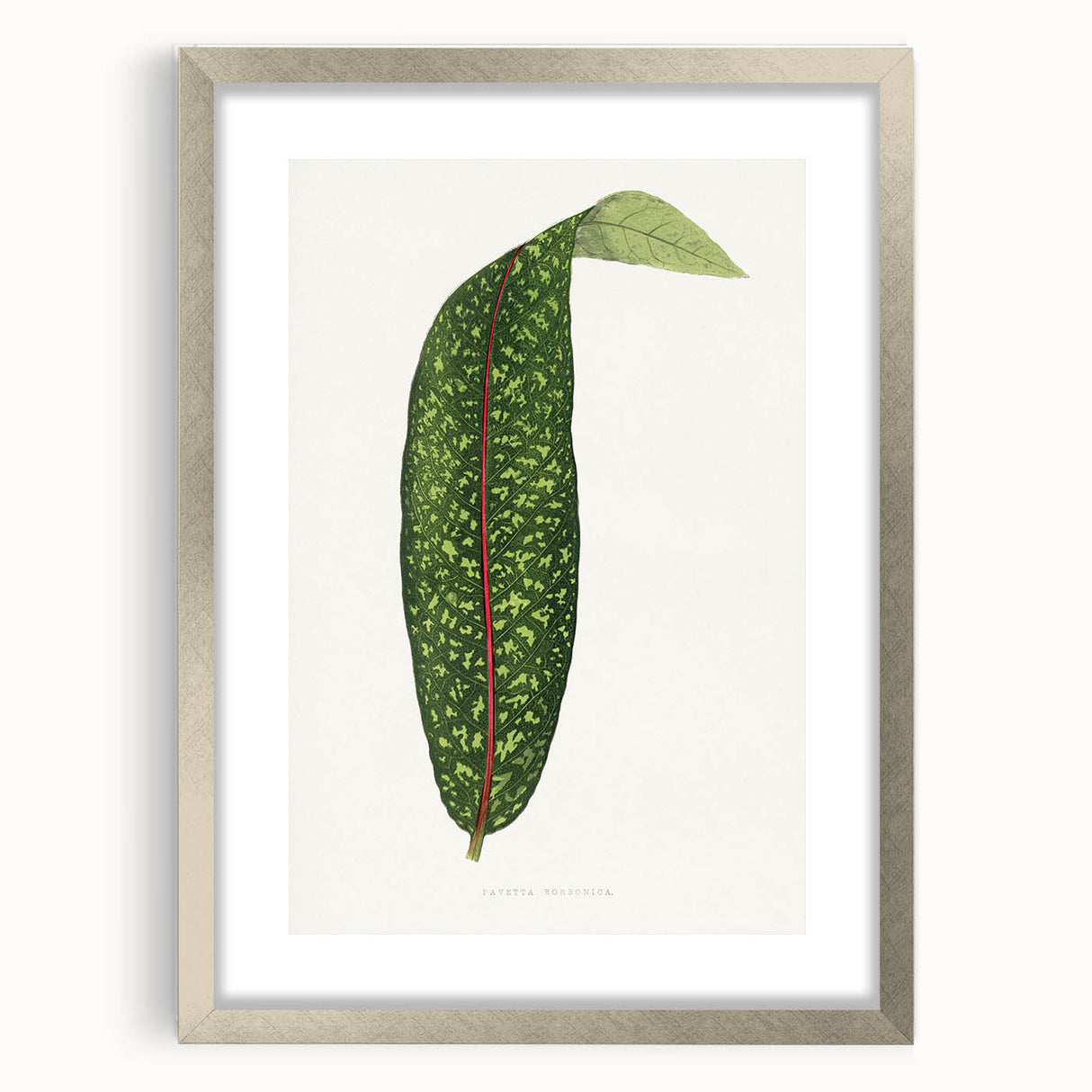 Classic Romantic Paintings - Historical Romanticism Canvas Wall Art