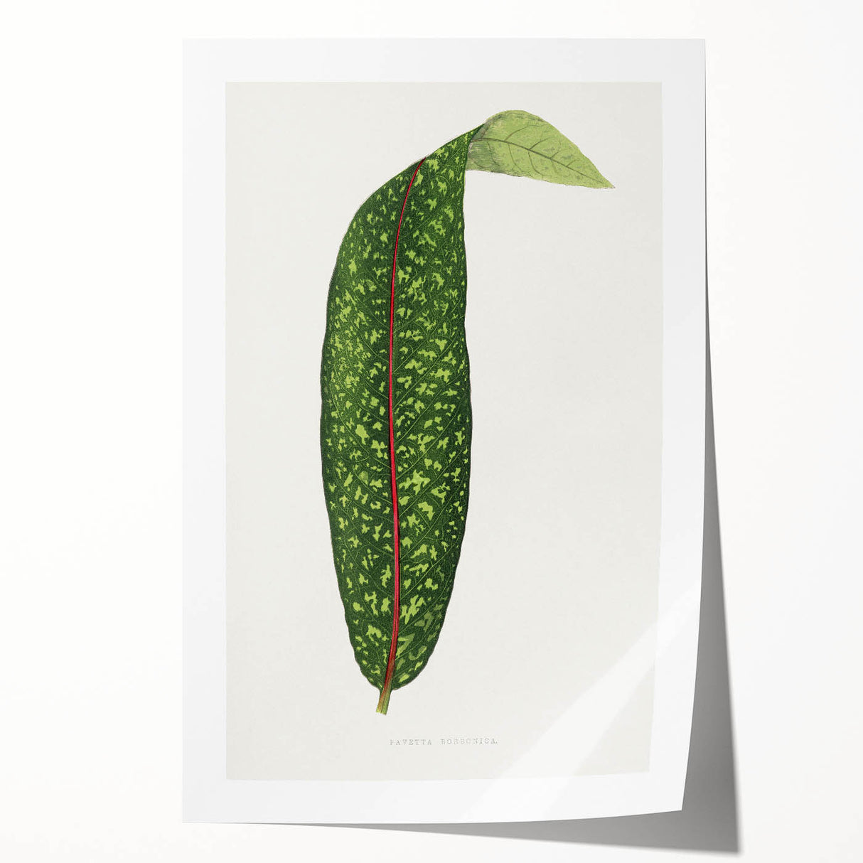 Classic Romantic Paintings - Historical Romanticism Canvas Wall Art