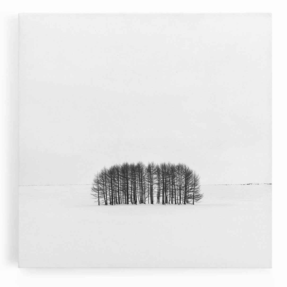 Framed Office Art – Minimalist Black and White Winter Scene