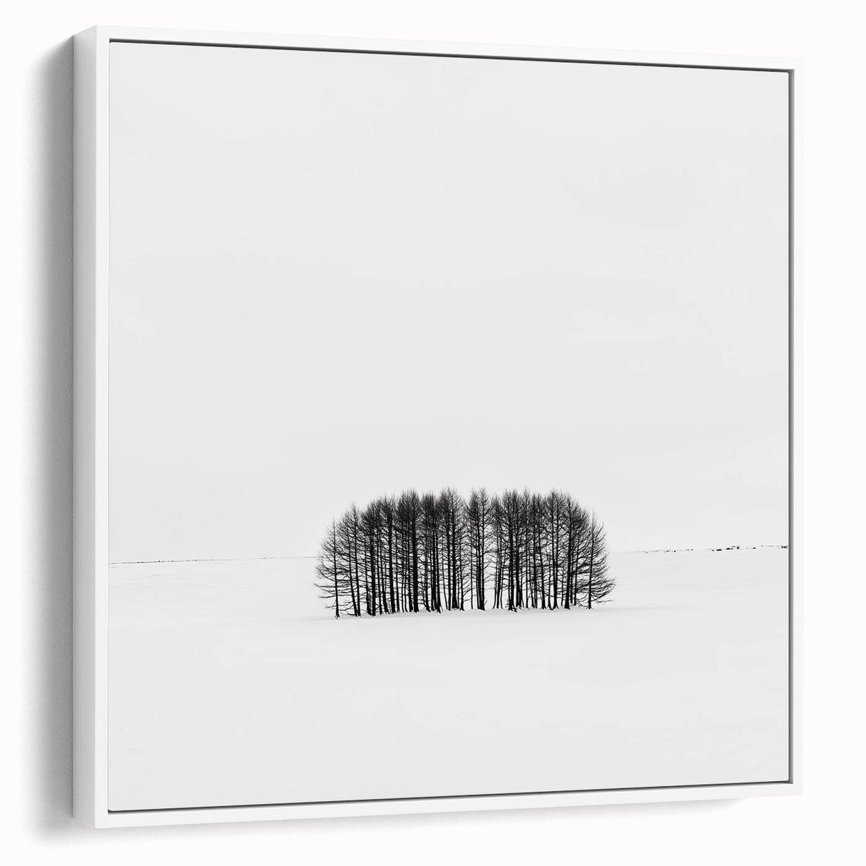 Office Canvas Prints – Minimalist Black and White Winter Scene
