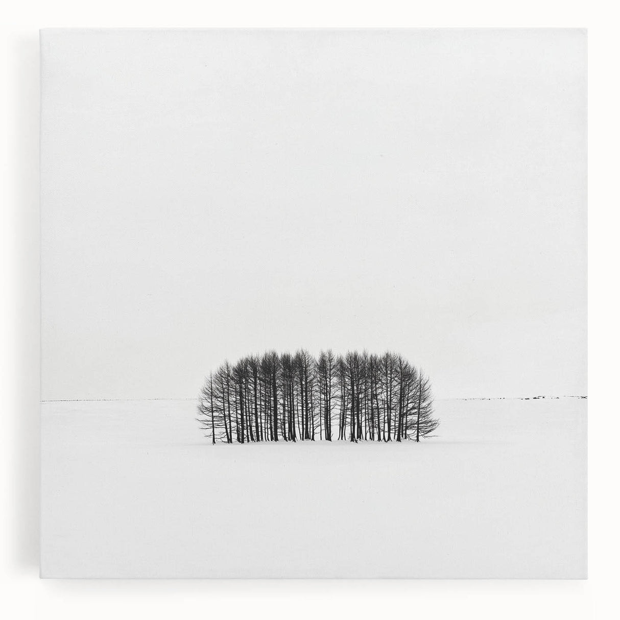 Office Canvas Prints – Minimalist Black and White Winter Scene
