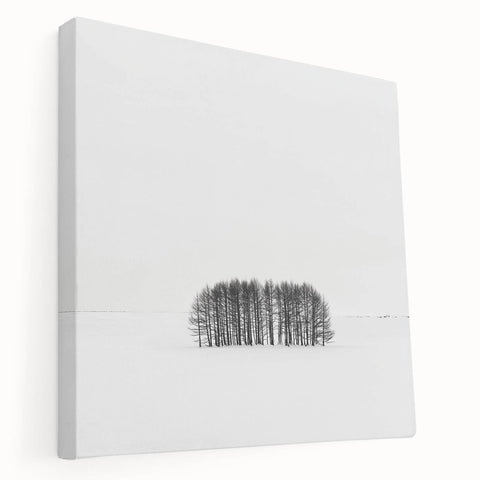 Office Canvas Prints – Minimalist Black and White Winter Scene