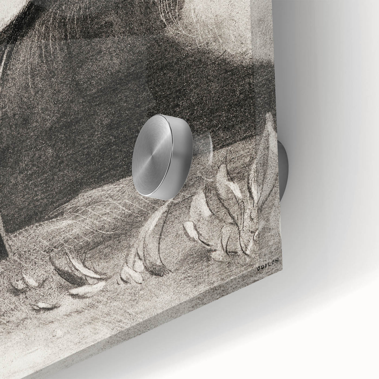 Modern Wall Art - Strange Flower Abstract Portrait in Monochromatic Style