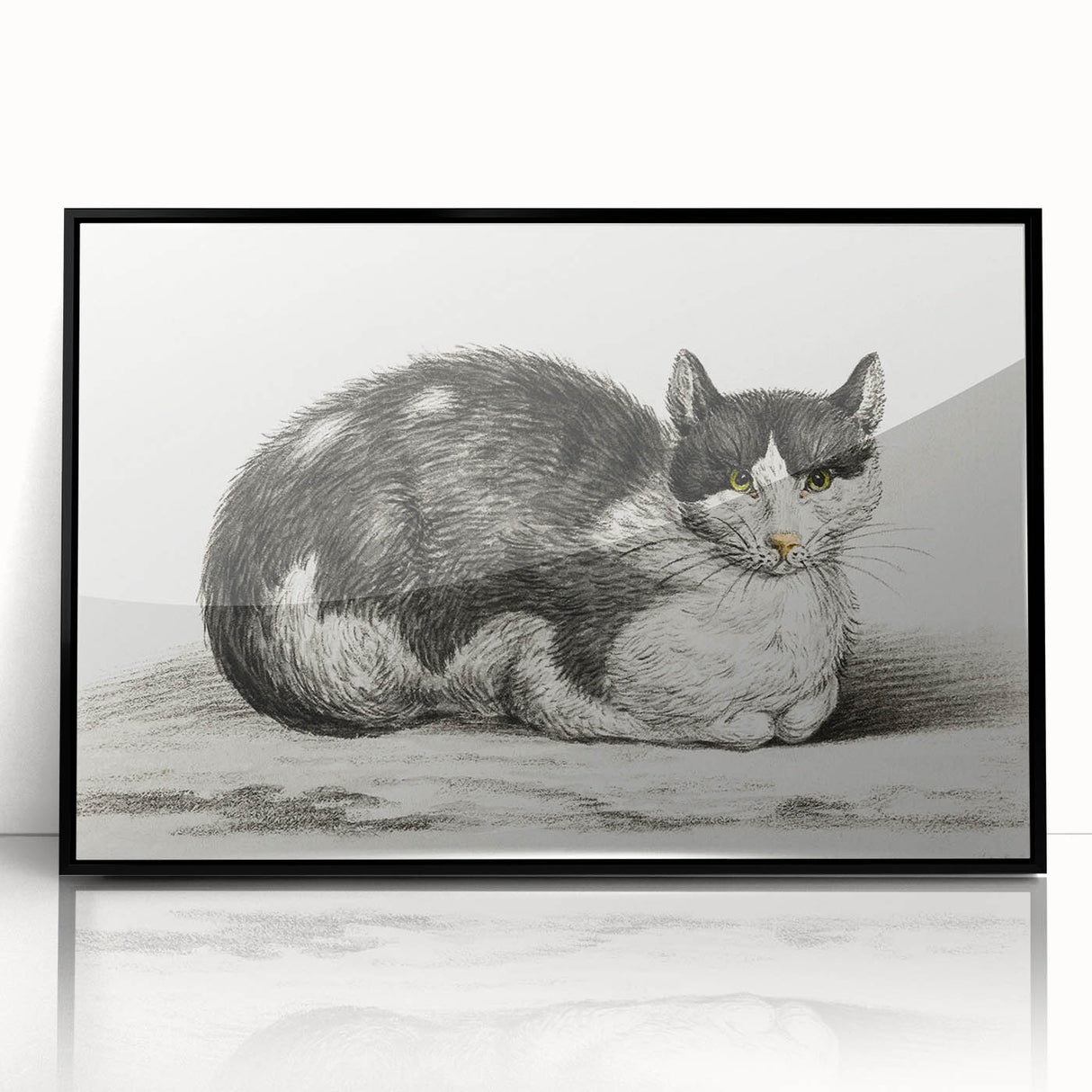 Classic Romantic Paintings - Lying Cat Illustration Wall Art