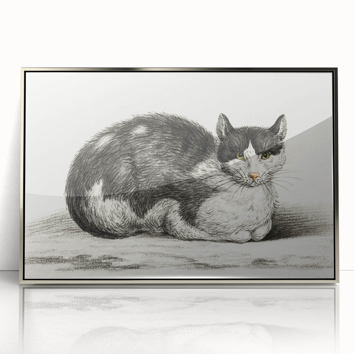 Classic Romantic Paintings - Lying Cat Illustration Wall Art