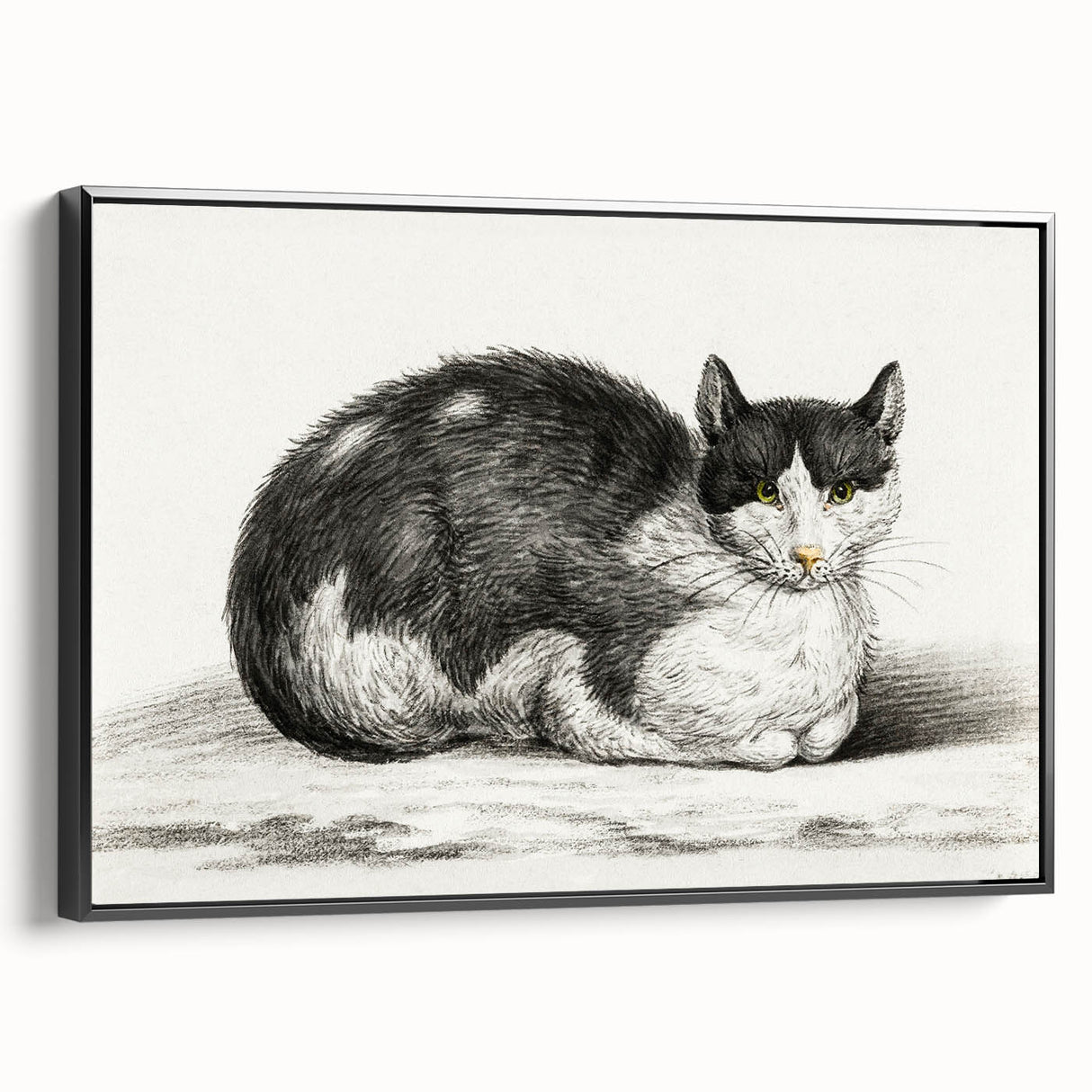 Classic Romantic Paintings - Lying Cat Illustration Wall Art