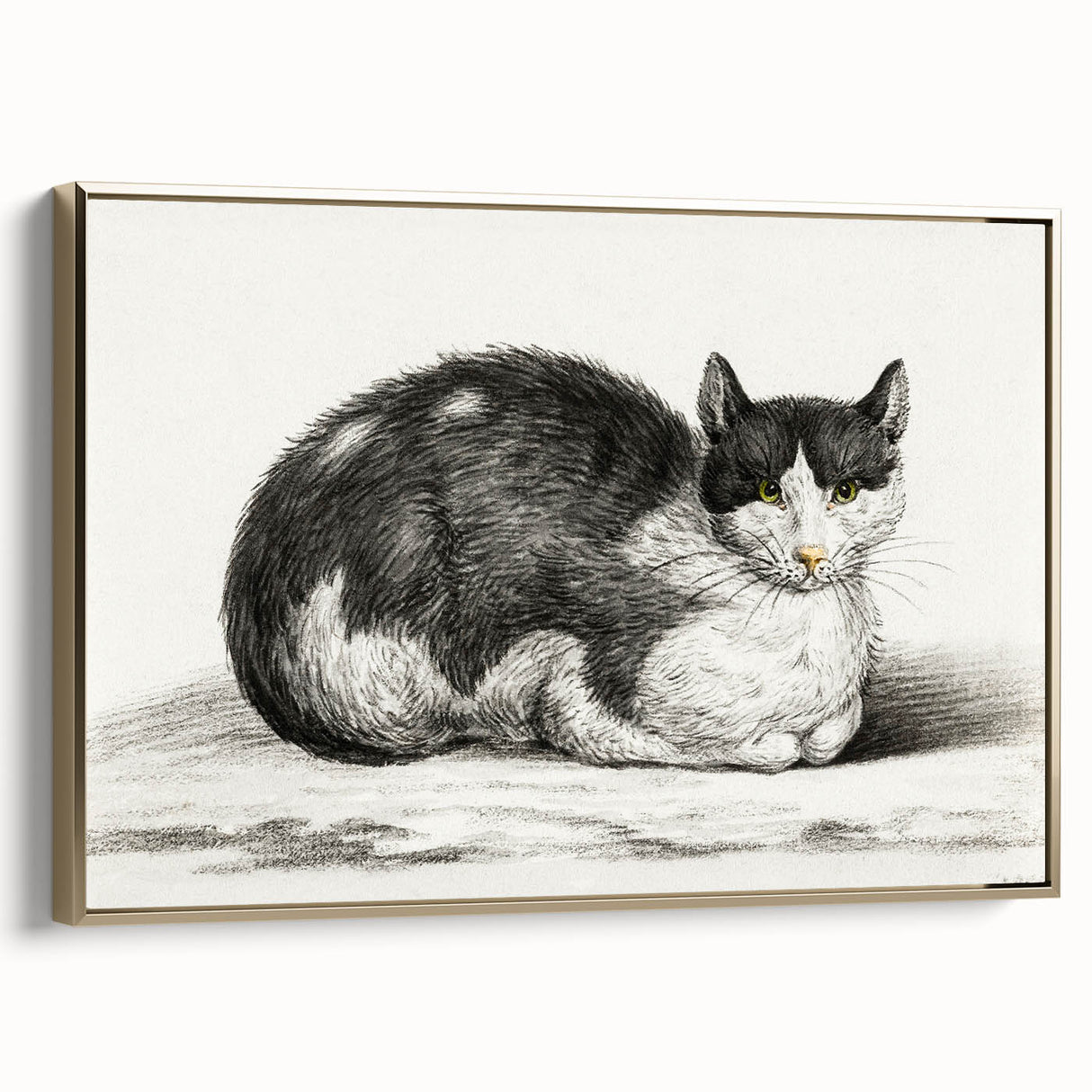 Classic Romantic Paintings - Lying Cat Illustration Wall Art