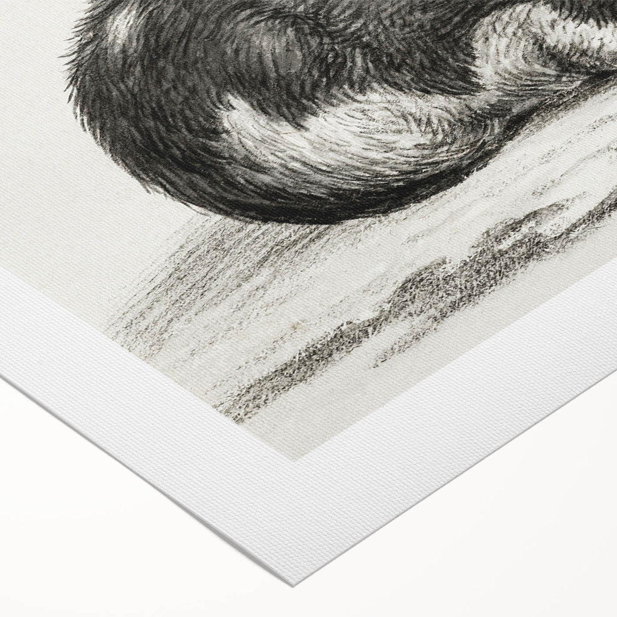 Classic Romantic Paintings - Lying Cat Illustration Wall Art