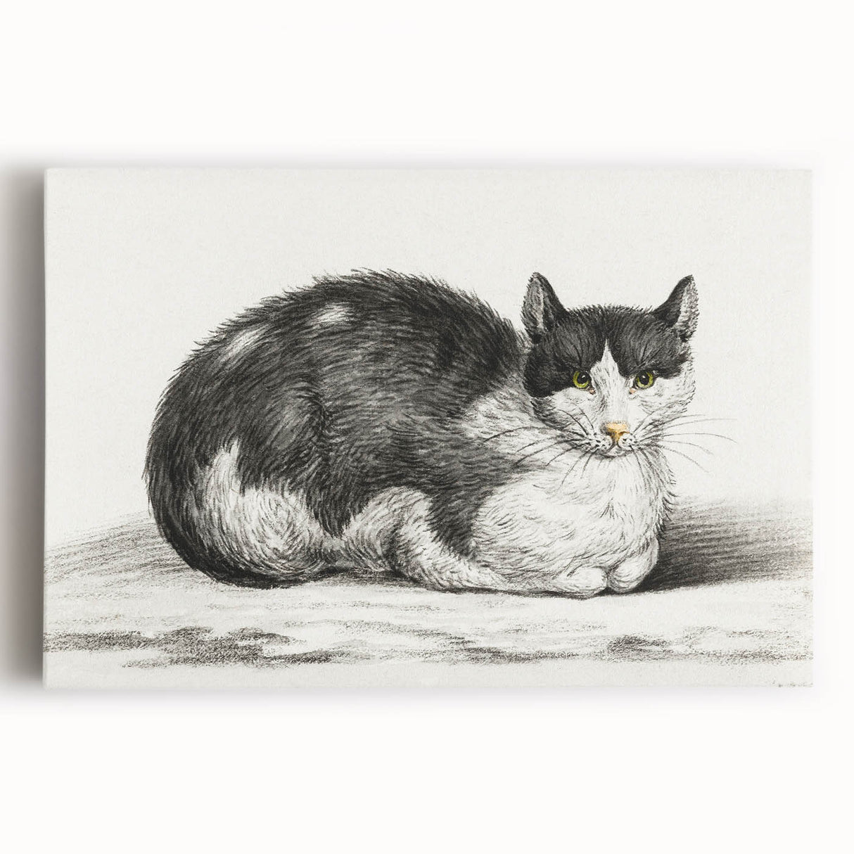 Classic Romantic Paintings - Lying Cat Illustration Wall Art