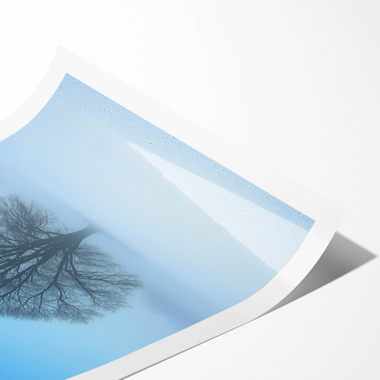 Solitary Tree Office Wall Art – Minimalist Winter Landscape Décor