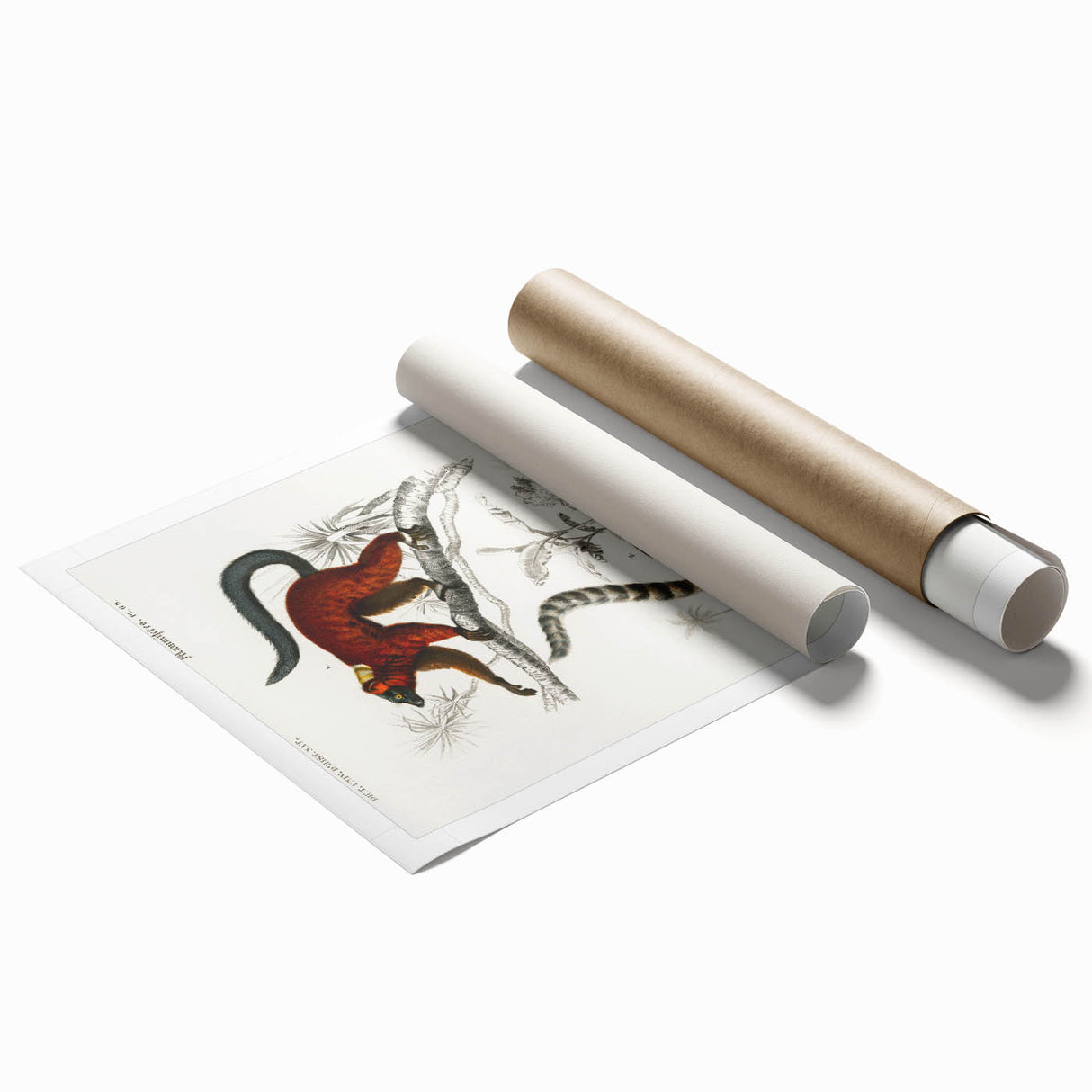 Classic Romantic Paintings: Lemurs - Historical Romanticism Canvas