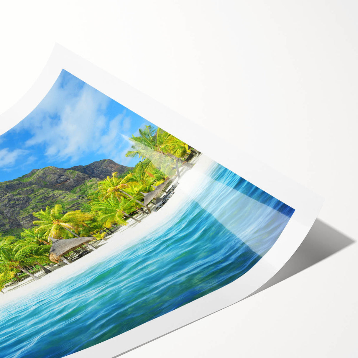 Extra large wall art featuring line art flowers in muted earth tones on a rolled canvas, ideal for large living room decor.