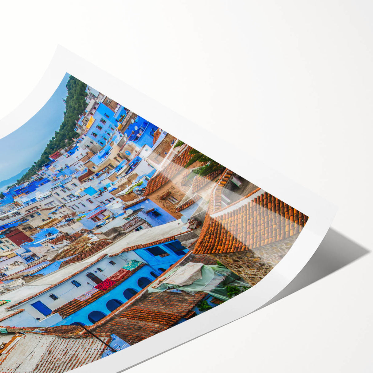 Extra large rolled print of line art flowers in Morocco scenery, using muted earth tones.