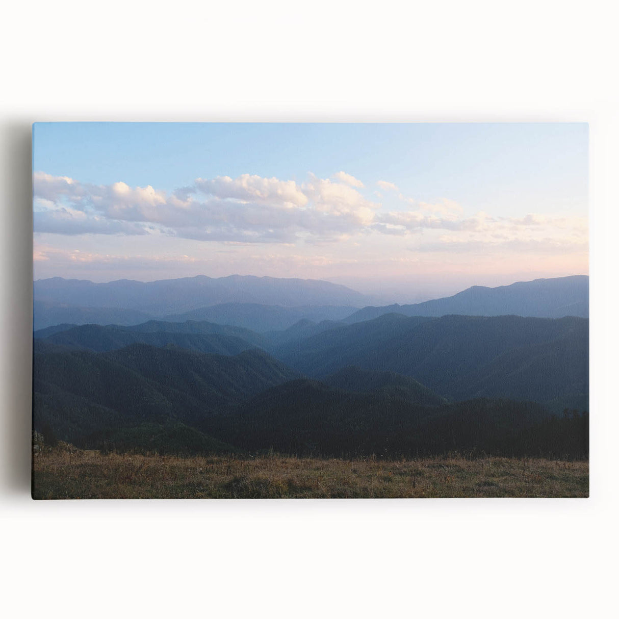 Black and white stretched canvas featuring a large, detailed illustration of Georgia's scenic landscapes.