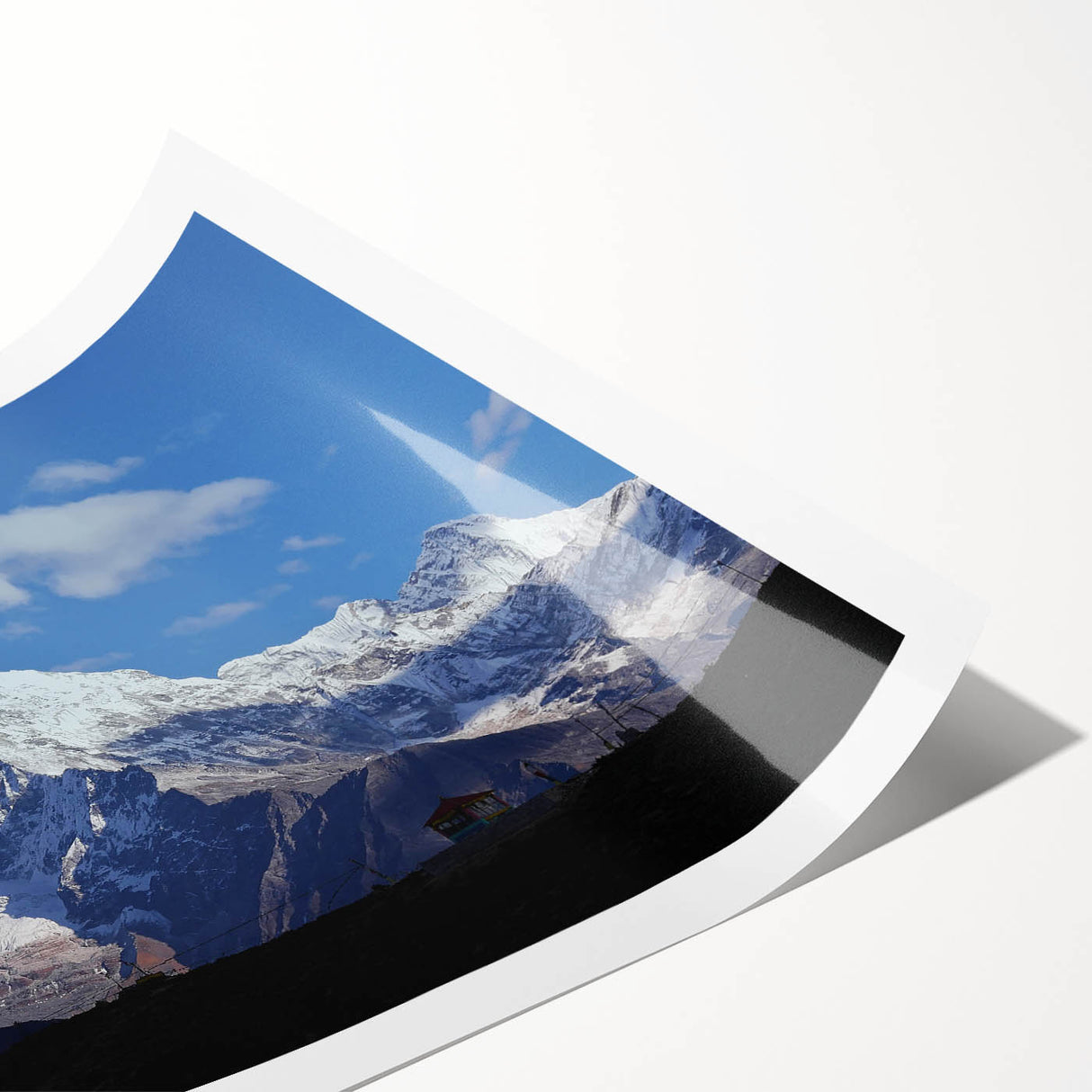 Extra large wall art featuring line art flowers in neutral tones on a rolled canvas, suitable for large living room decor.