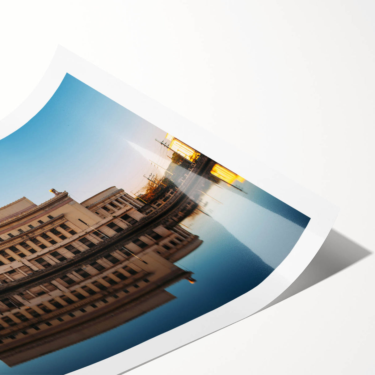 Extra large wall art featuring line art flowers in black on a white background, ideal for large living room decor.