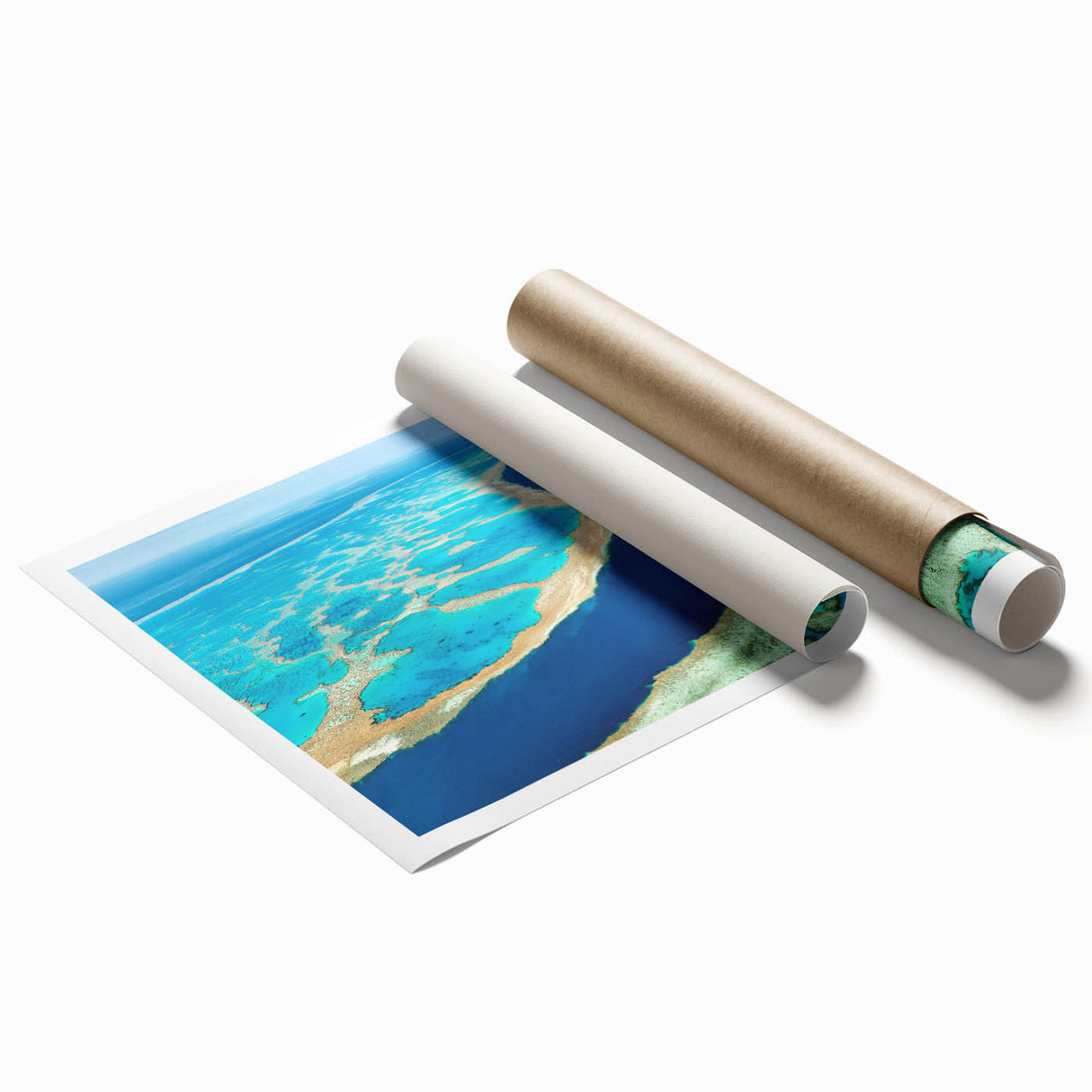 Extra large rolled print of Brisbane scenery with floral elements in pastel shades.