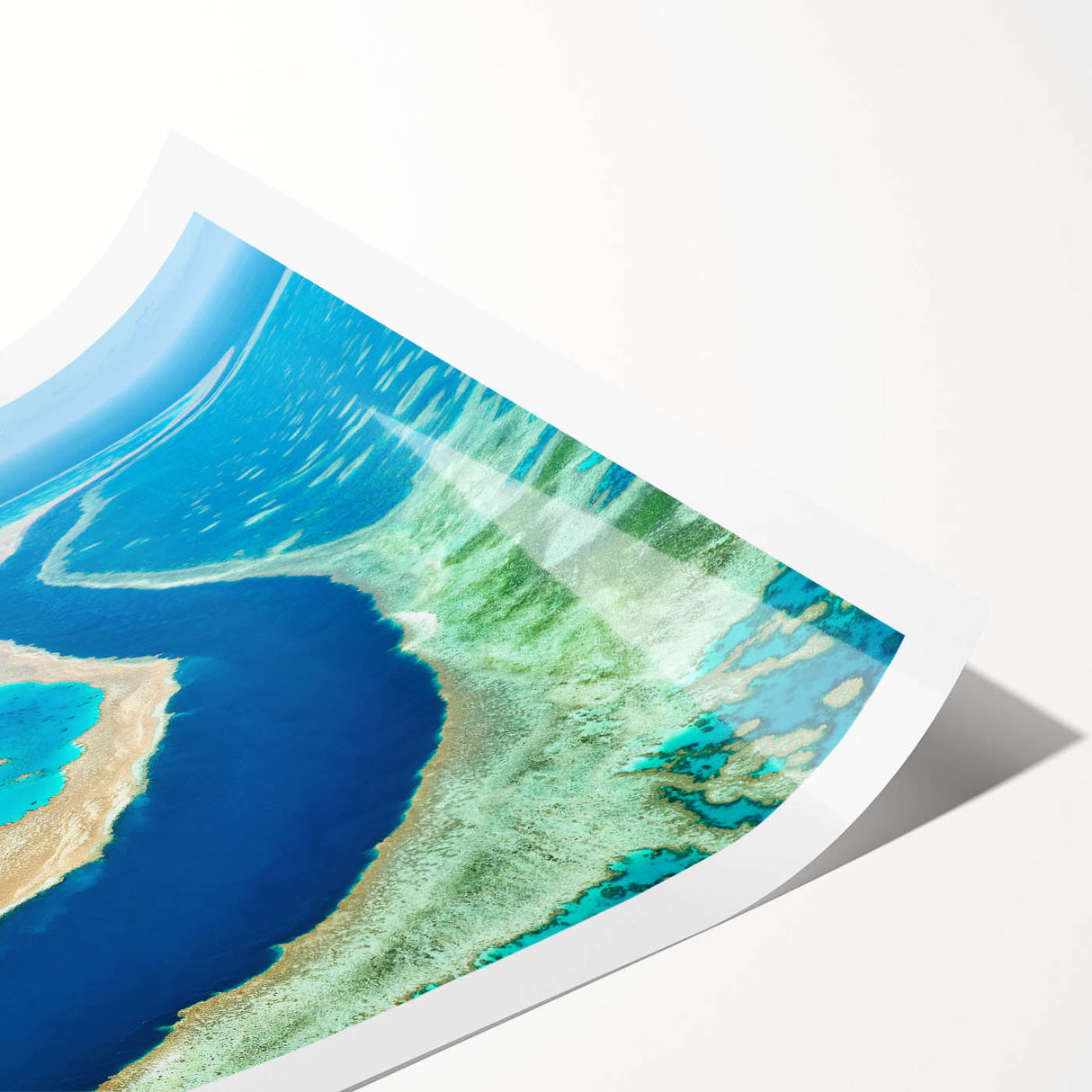 Extra large wall art featuring line art flowers in monochrome, on a rolled print, suitable for large living room decor.