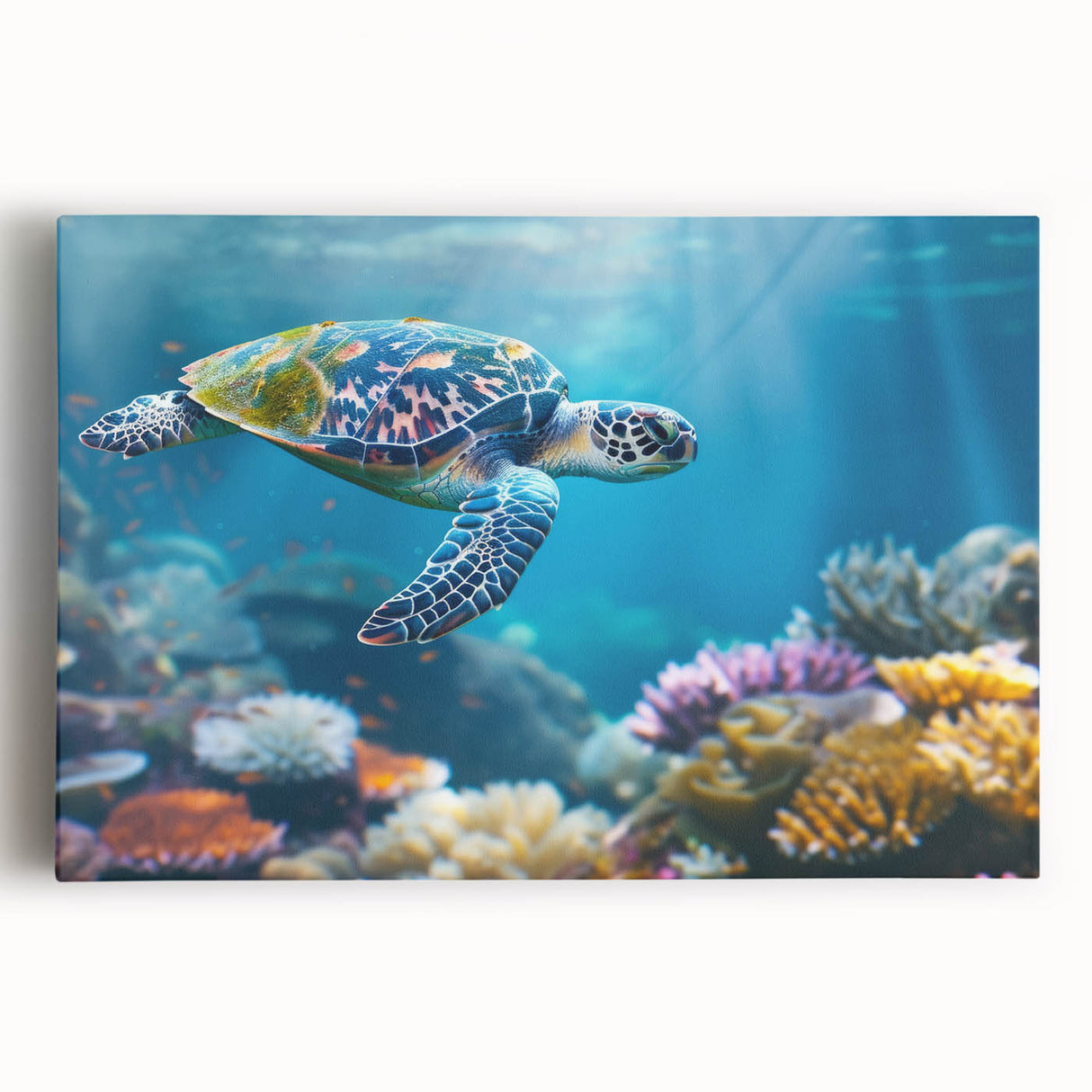 Black and white stretched canvas of the Great Barrier Reef, ideal for kitchen wall art.