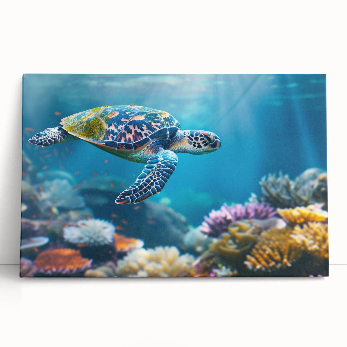 Black and white stretched canvas of the Great Barrier Reef, suitable as large kitchen wall art or for bedroom decor.