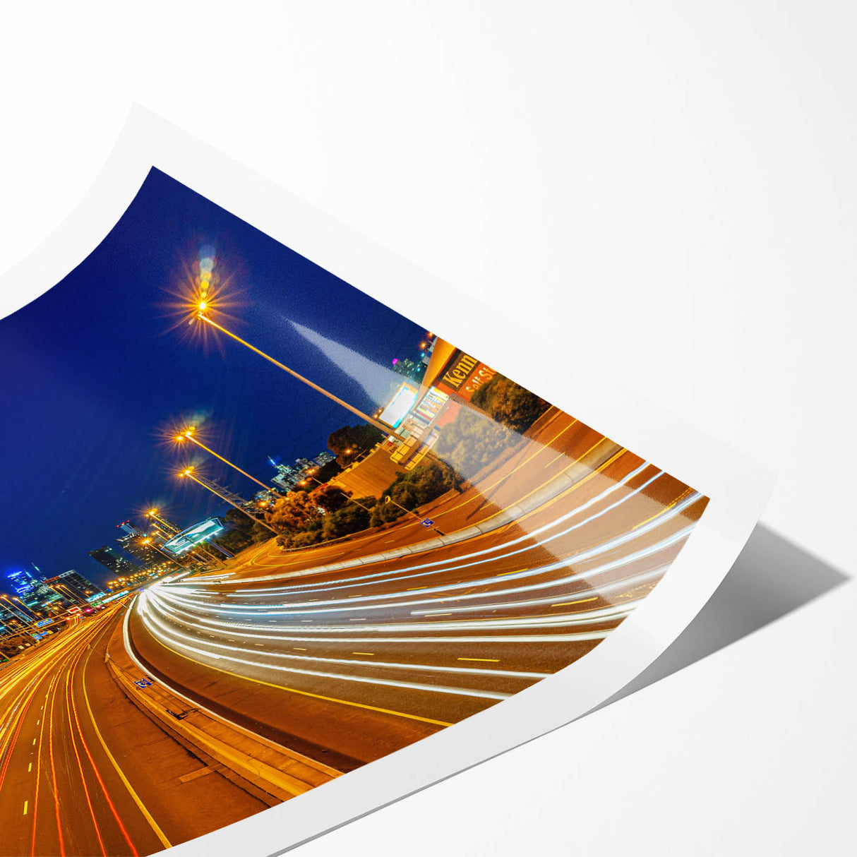 Extra large wall art featuring line art flowers in black on a white background, ideal for large living room decor.