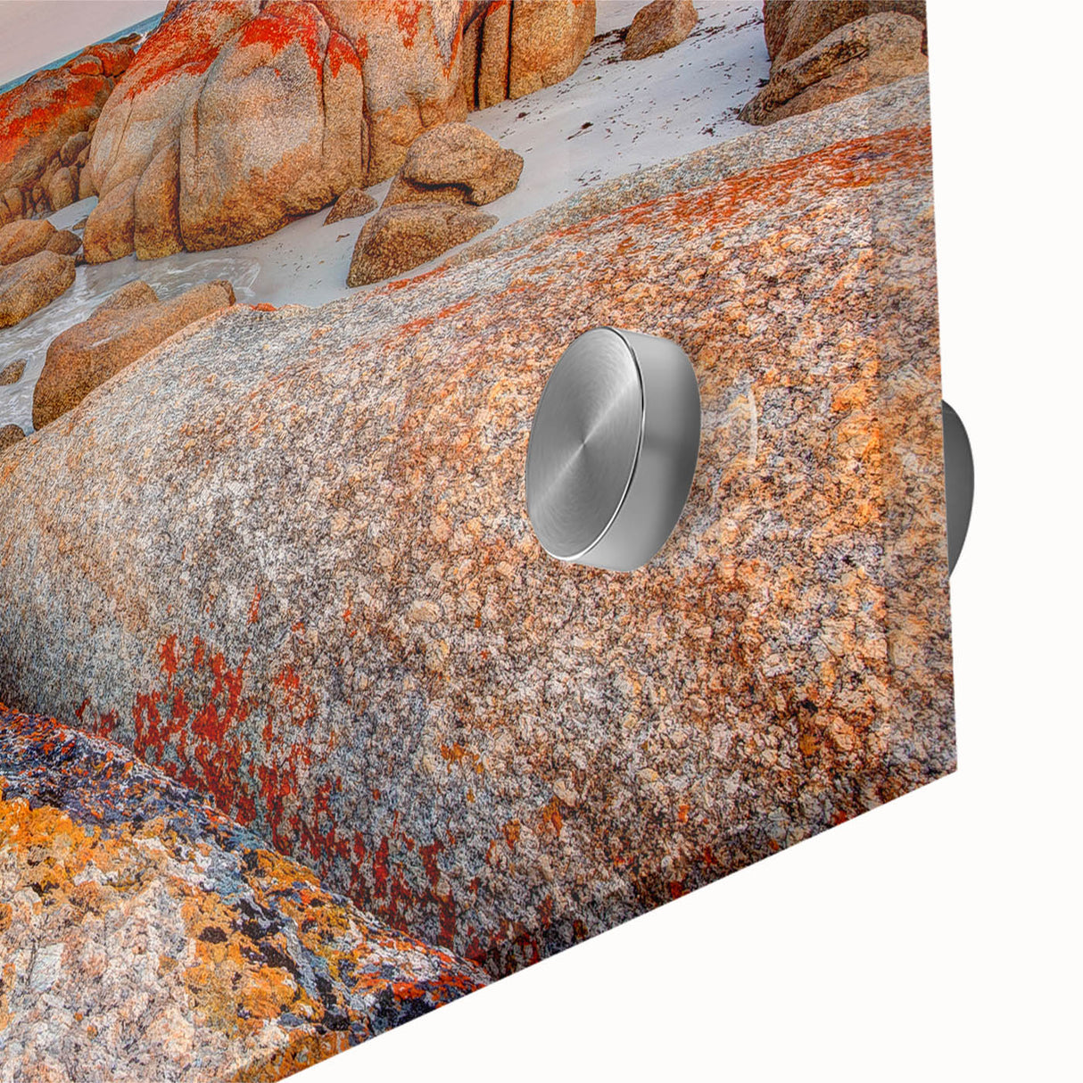 Large abstract wall art depicting the Tasmanian scenery in muted earth tones on acrylic glass.