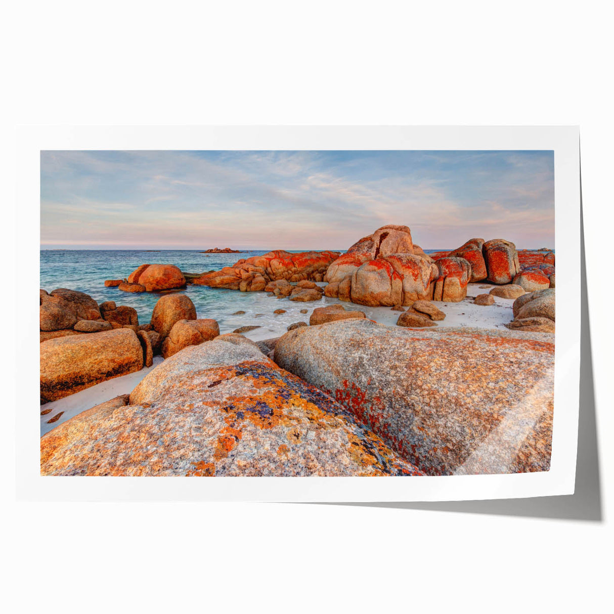 Extra large rolled print of a Tasmanian landscape, featuring vibrant greenery and floral elements.