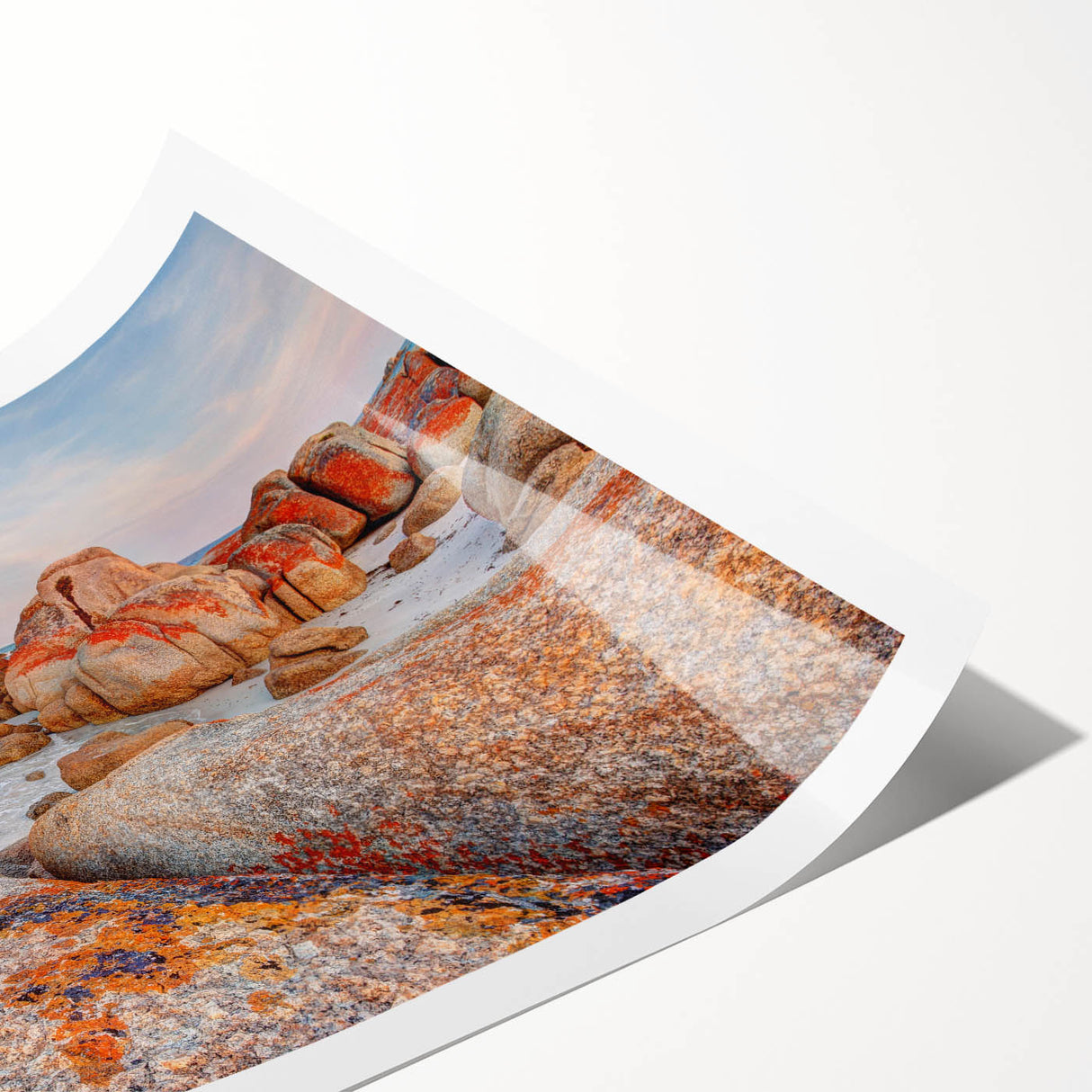 Extra large rolled print of line art flowers in black on white, ideal for large living room wall art.