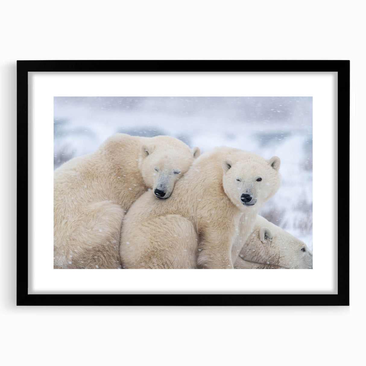 Extra large abstract art print featuring a vibrant, colorful depiction of Manitoba scenery on a textured canvas.