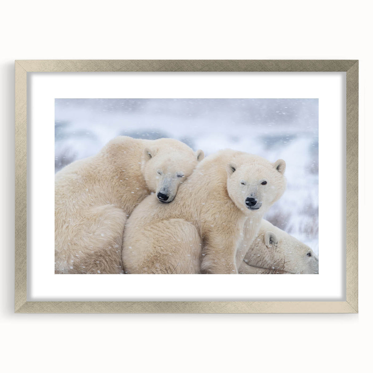 Textured abstract art print of a Manitoba, Canada scenery in muted earth tones, framed with a silver mat.