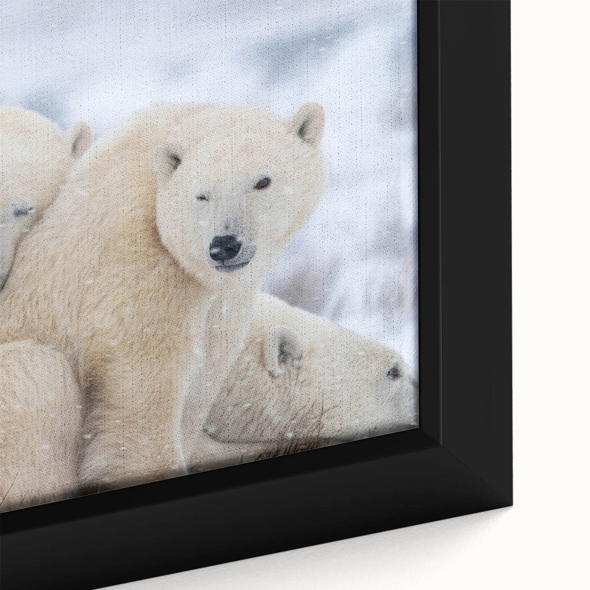 Extra large framed canvas featuring a textured depiction of a scenic Manitoba landscape in black with colorful accents.