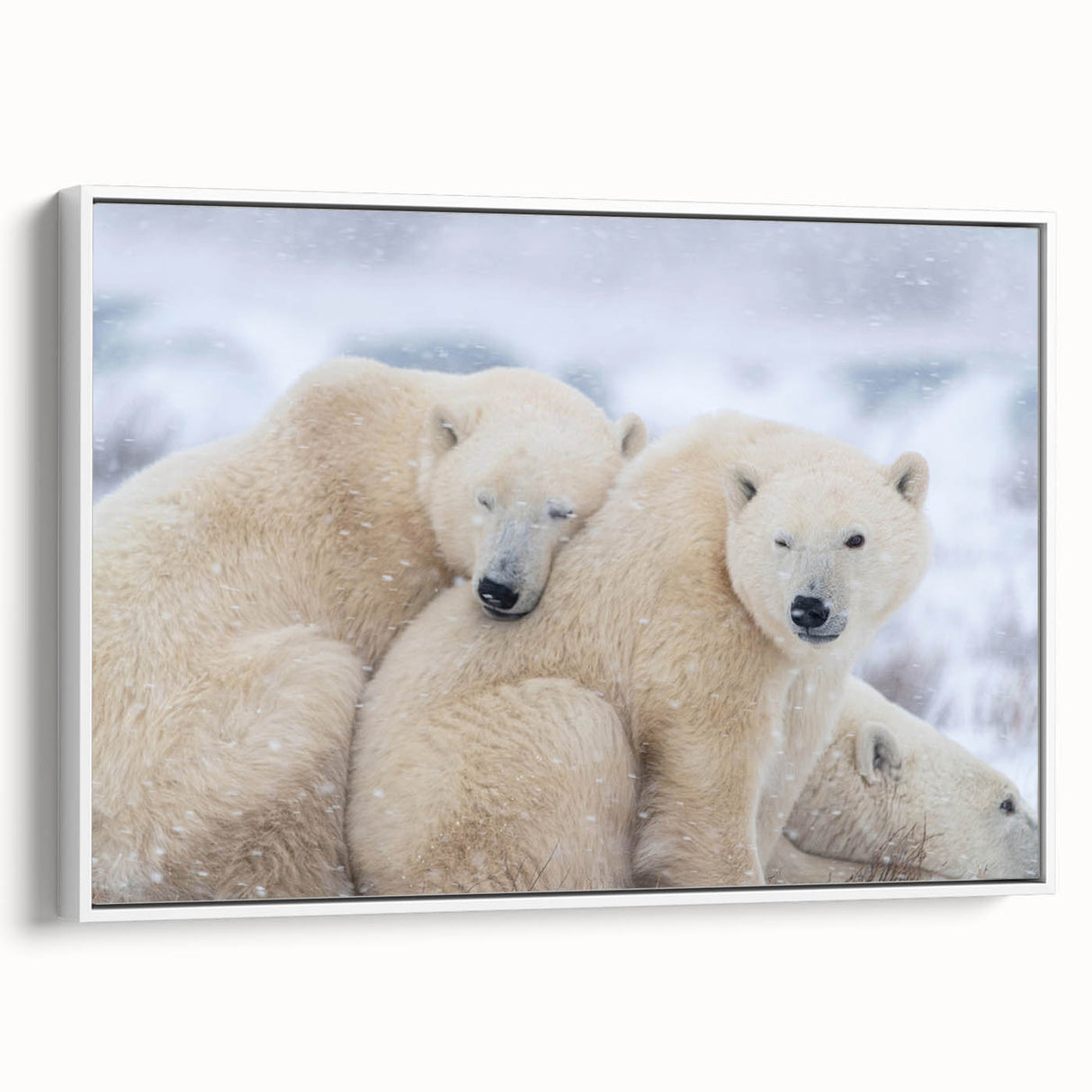 Vintage poster art of Manitoba scenery on a framed canvas, featuring a black and colorful palette.