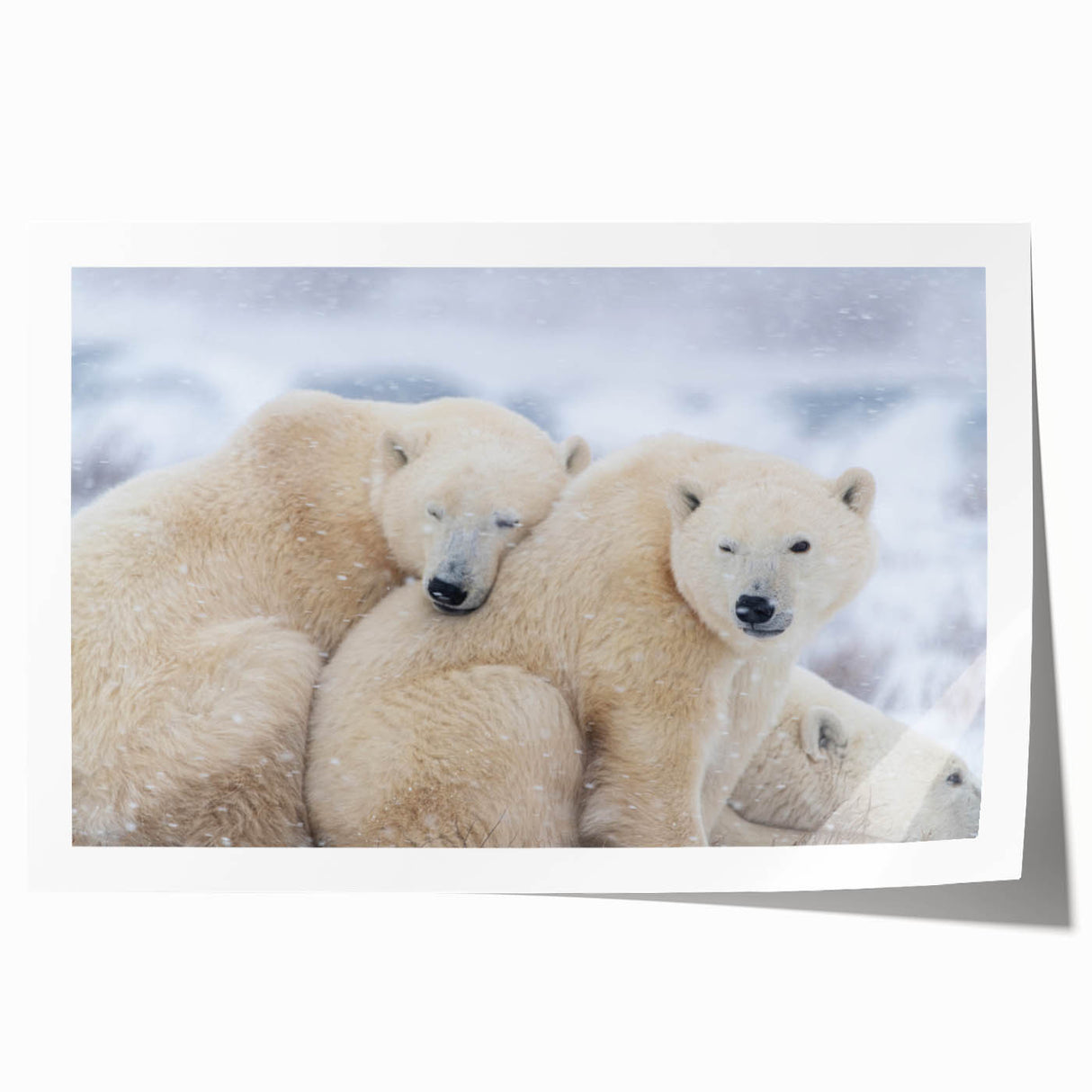 Rolled print of a Manitoba scenery with lush greenery and lake, in muted earth tones, ideal for art wall dining room.