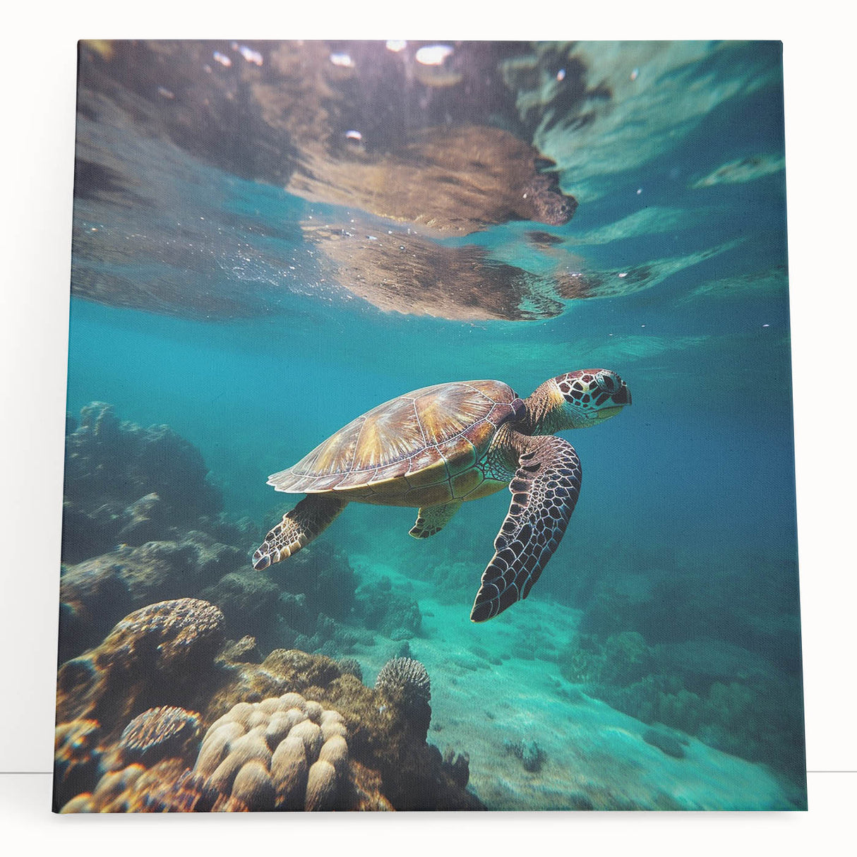 Black and white stretched canvas of Caribbean Aruba scenery, ideal for kitchen wall art.