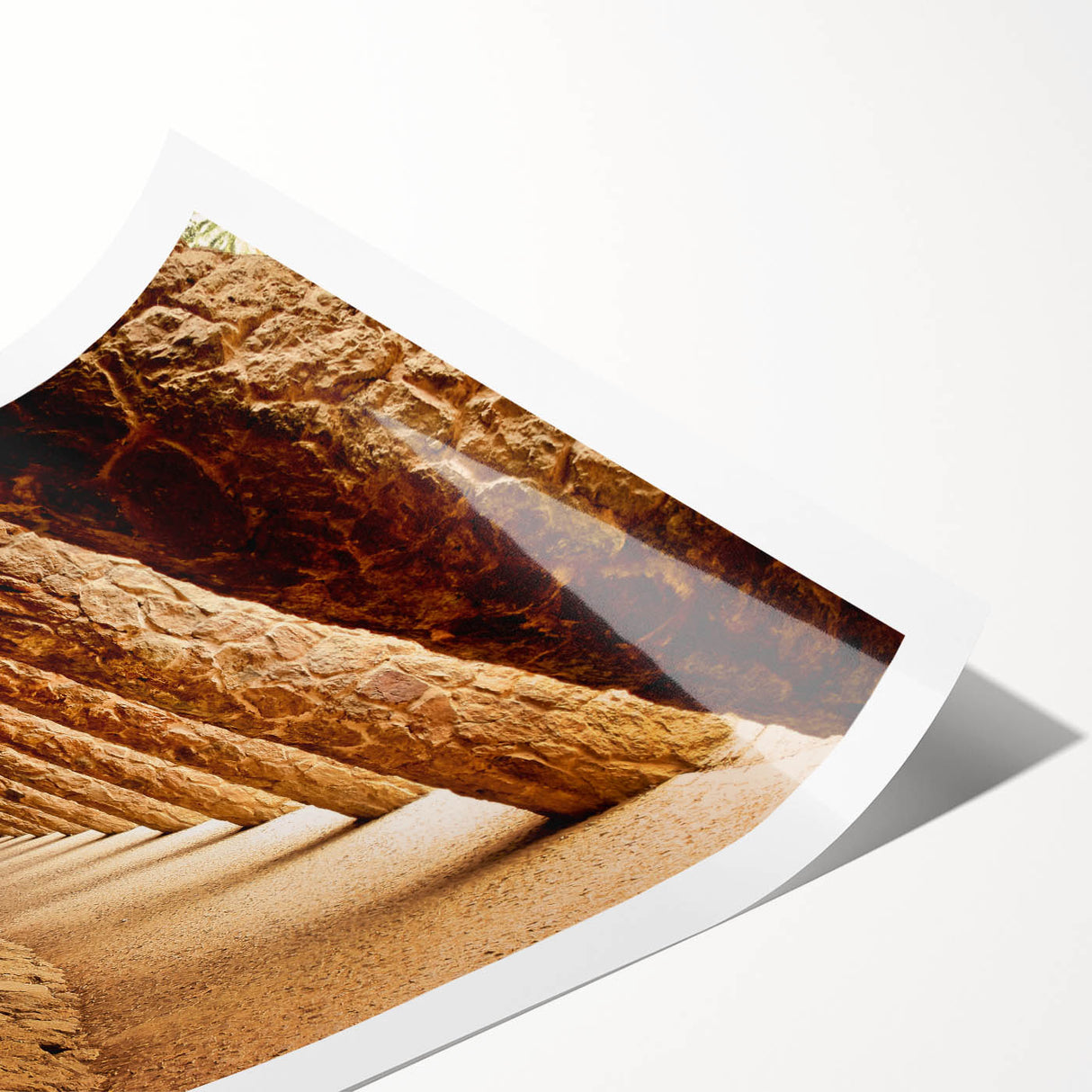 Extra large wall art of line art flowers in muted colors on a rolled print, suitable for large living room decor.