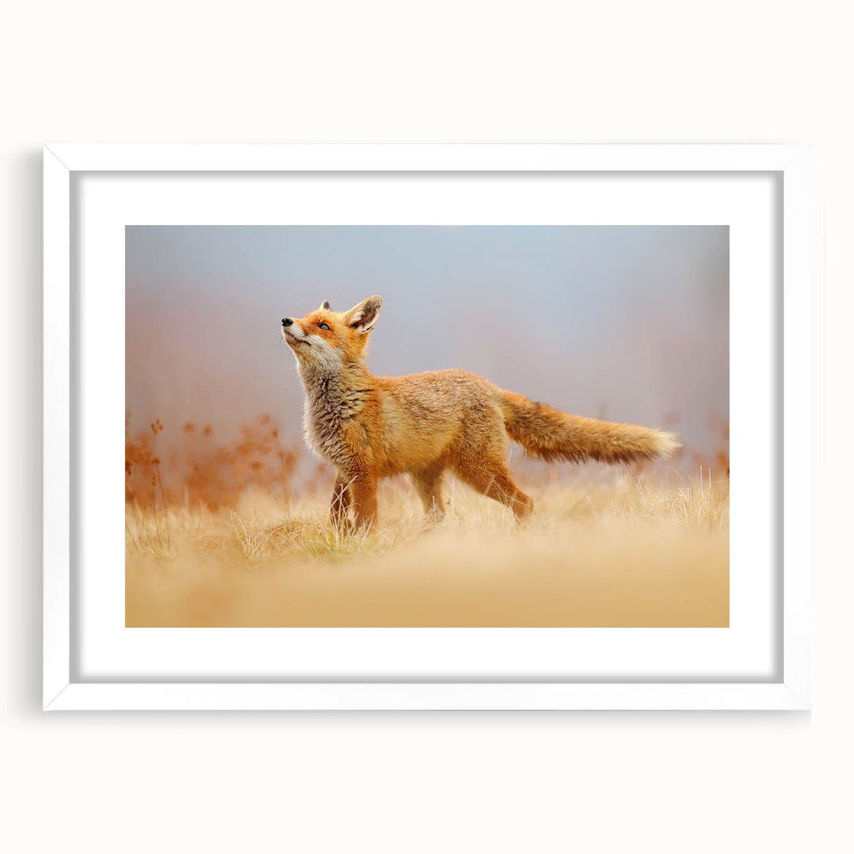 Abstract art print of a European landscape in soft pastel shades on a framed white canvas, ideal for dining room decor.