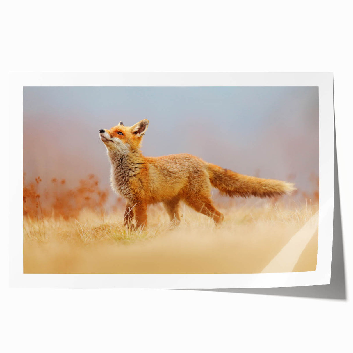 Extra large rolled print of a serene Swedish landscape, featuring soft floral elements and muted green and blue tones.