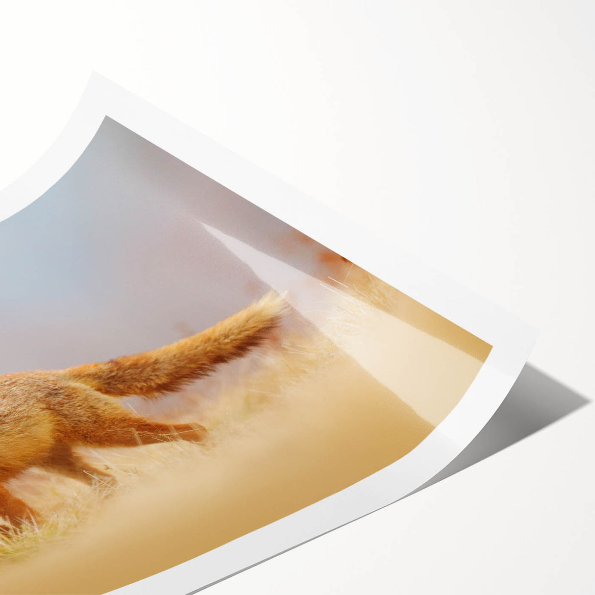 Extra large wall art featuring line art flowers in muted tones on rolled canvas, ideal for large living room decor.