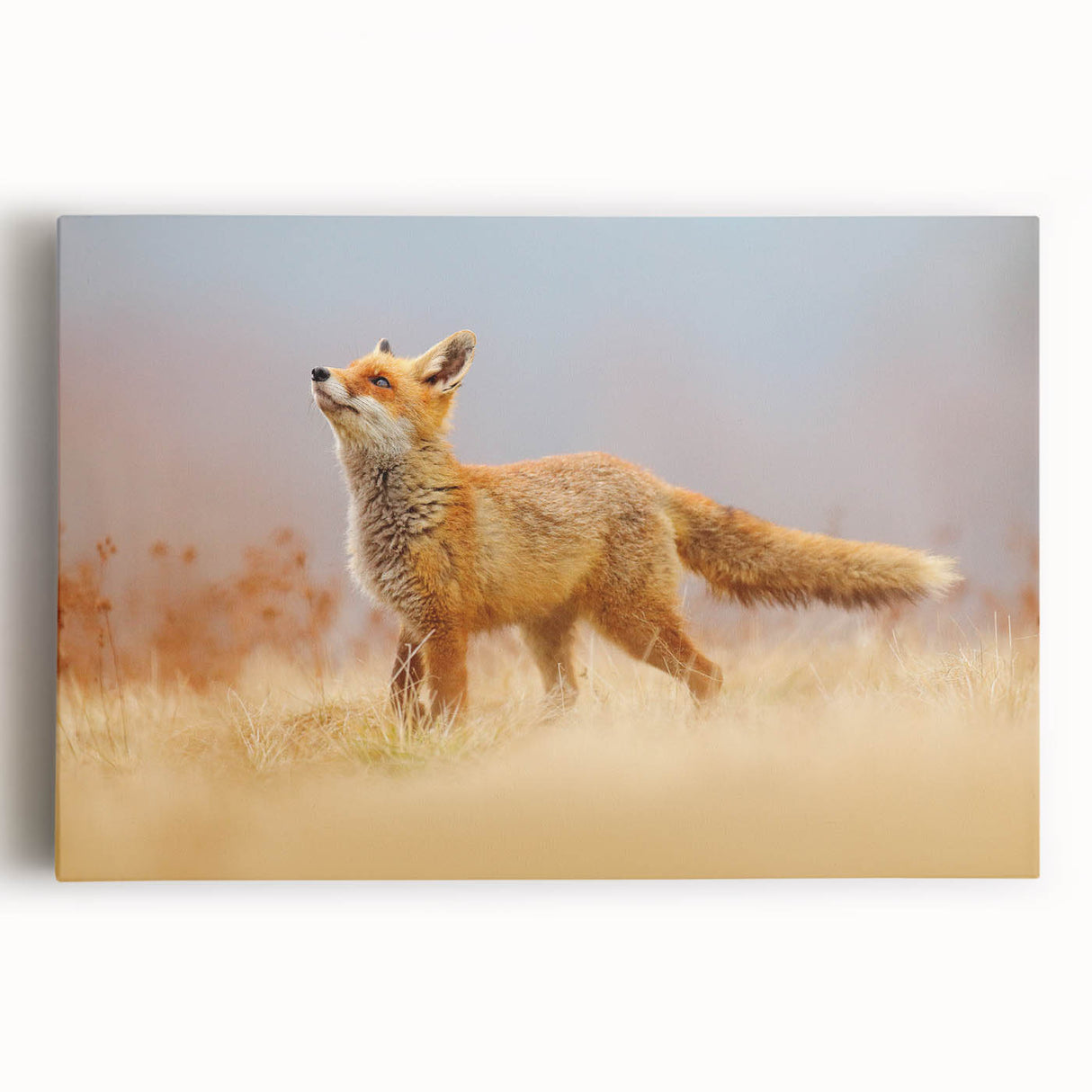 Black and white photograph of a European city street on large stretched canvas, ideal for kitchen wall art.